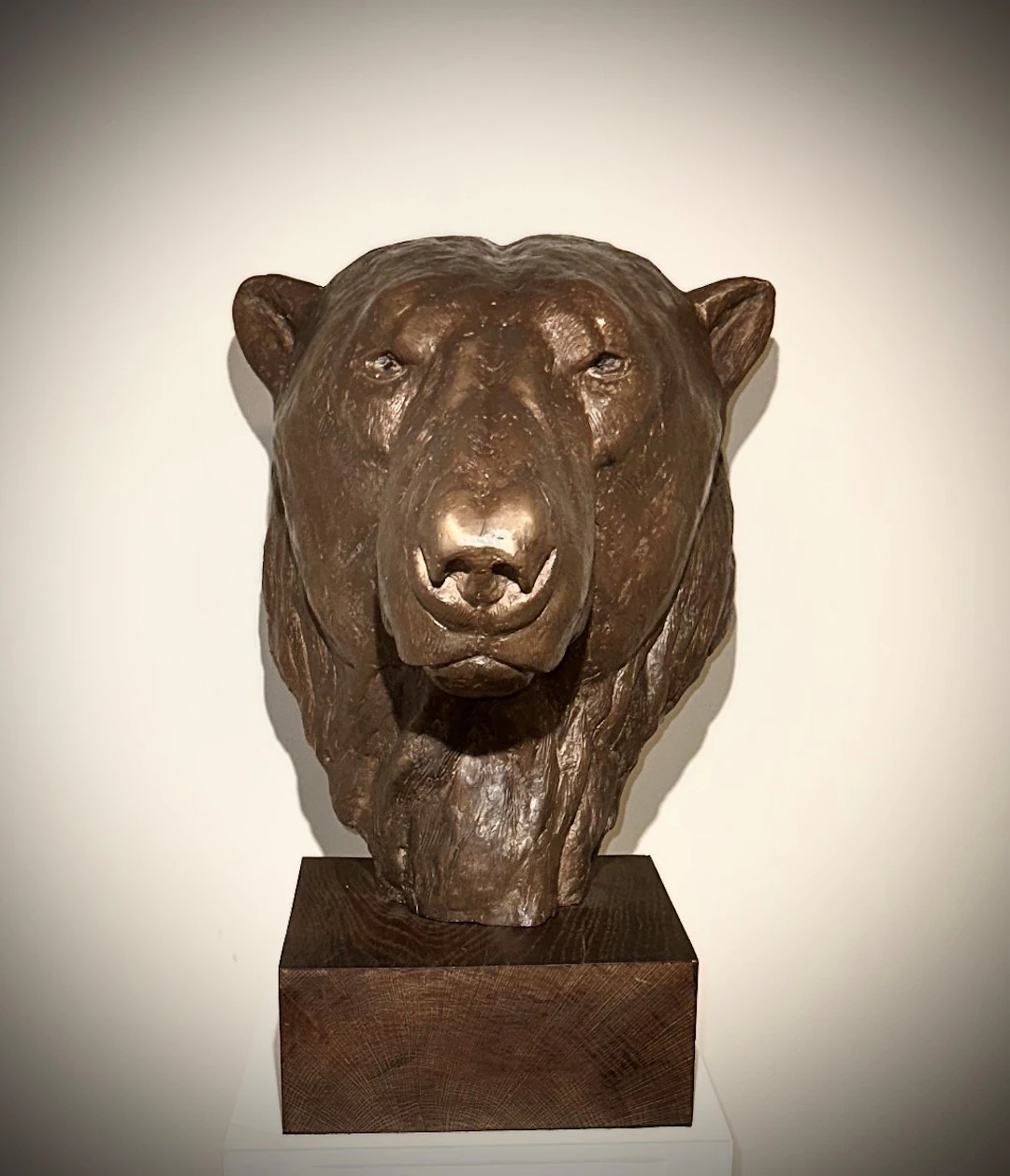 Eyes of Conscience Bronze