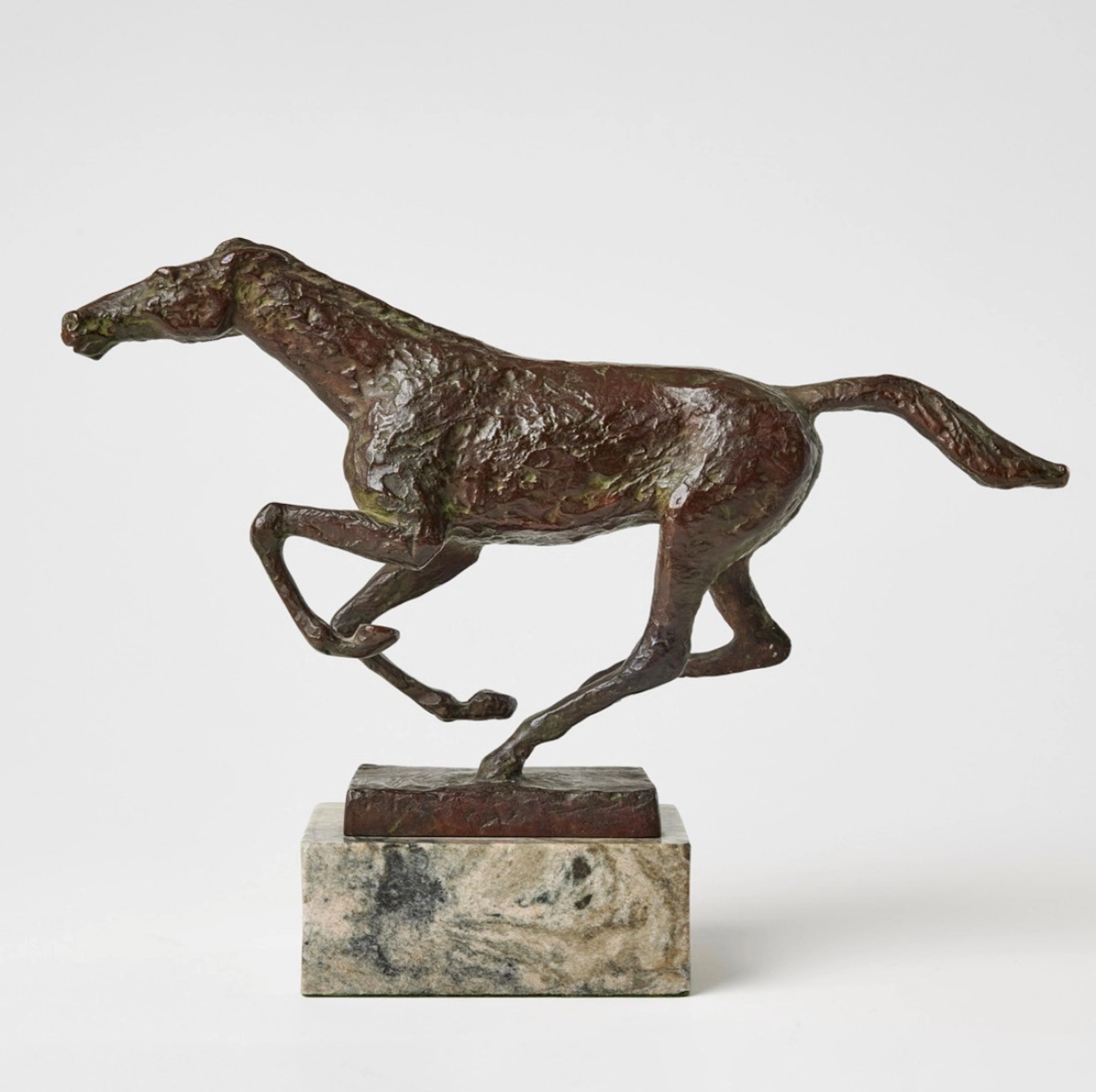 Mustang | Georg Ganmar