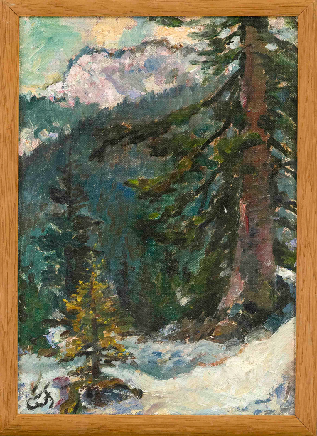 Wilhelm Focke (1878-1974), norddt