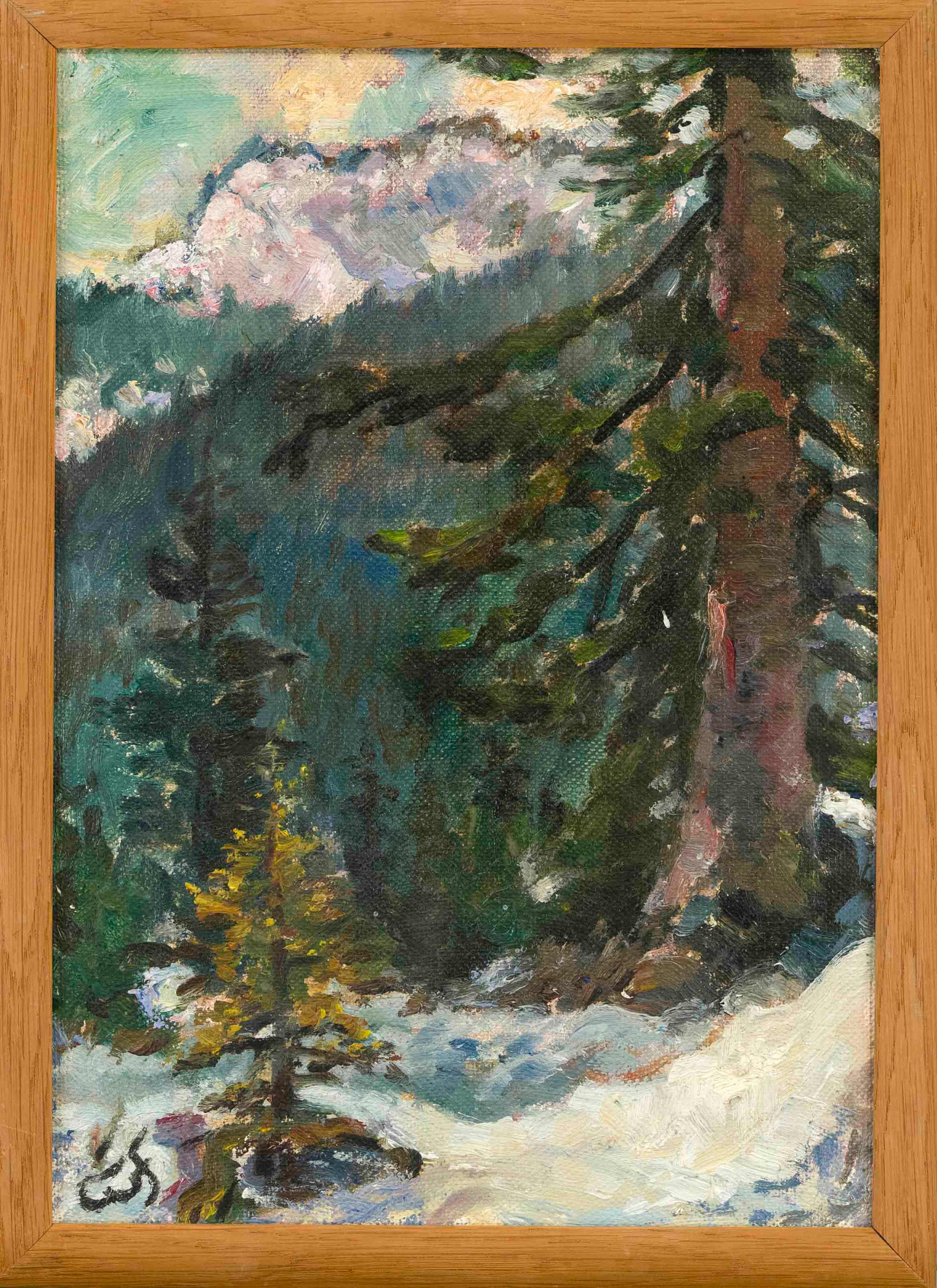 Wilhelm Focke (1878-1974), norddt