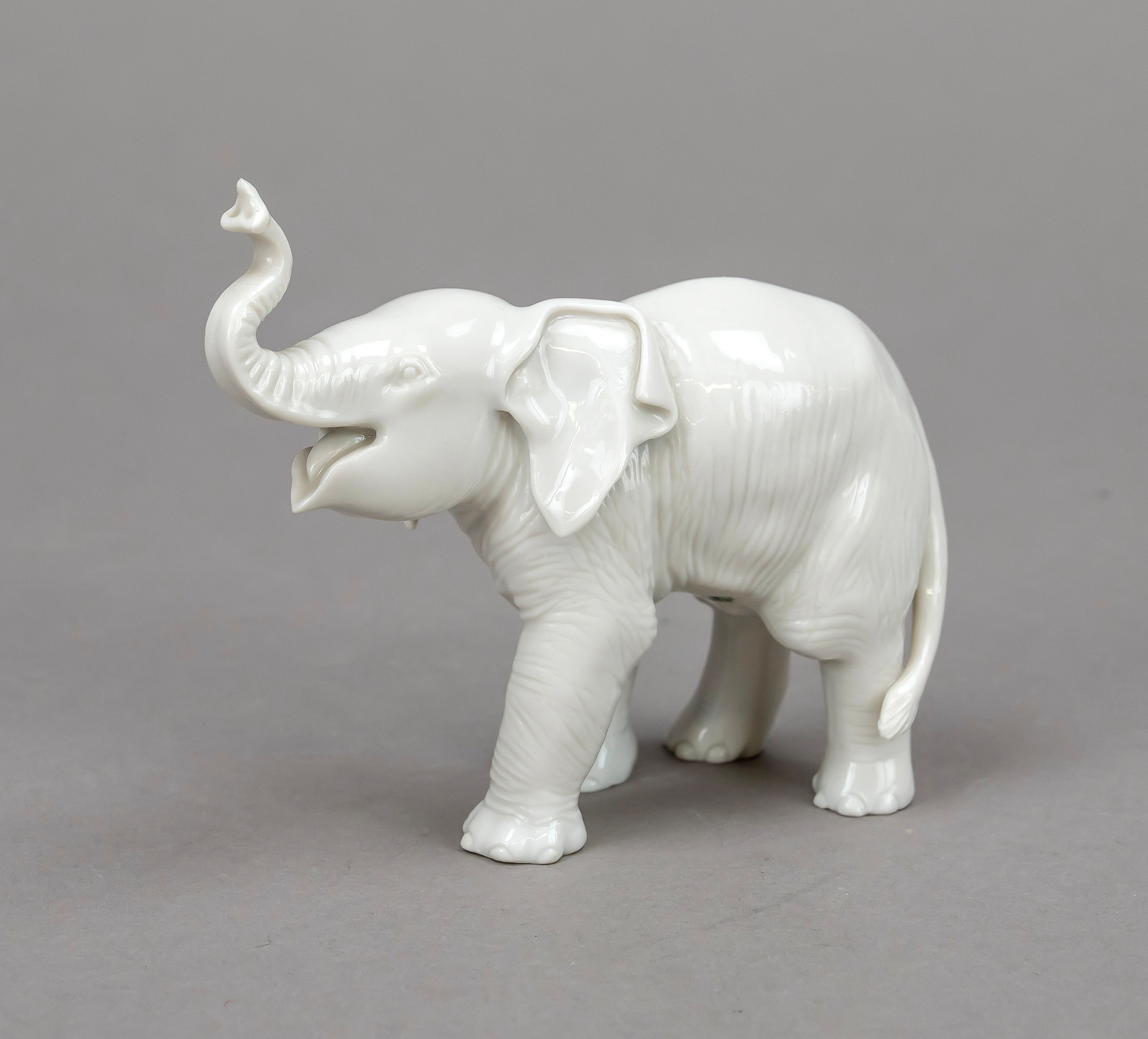 Elefant mit erhobenem Rüssel, All