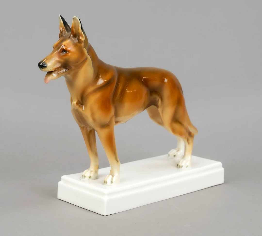 Schäferhund, Volkstedt, Thüringen