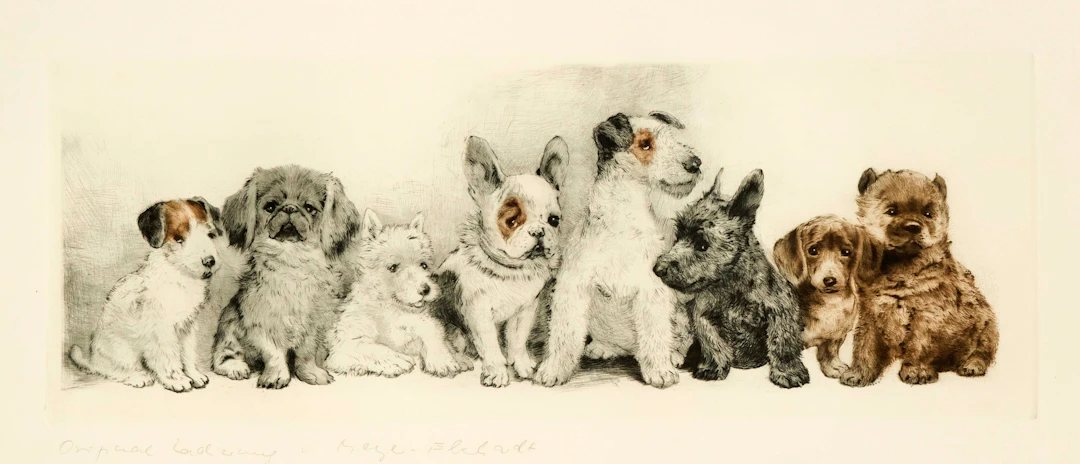 Kurt Meyer-Eberhardt (1895-1977)