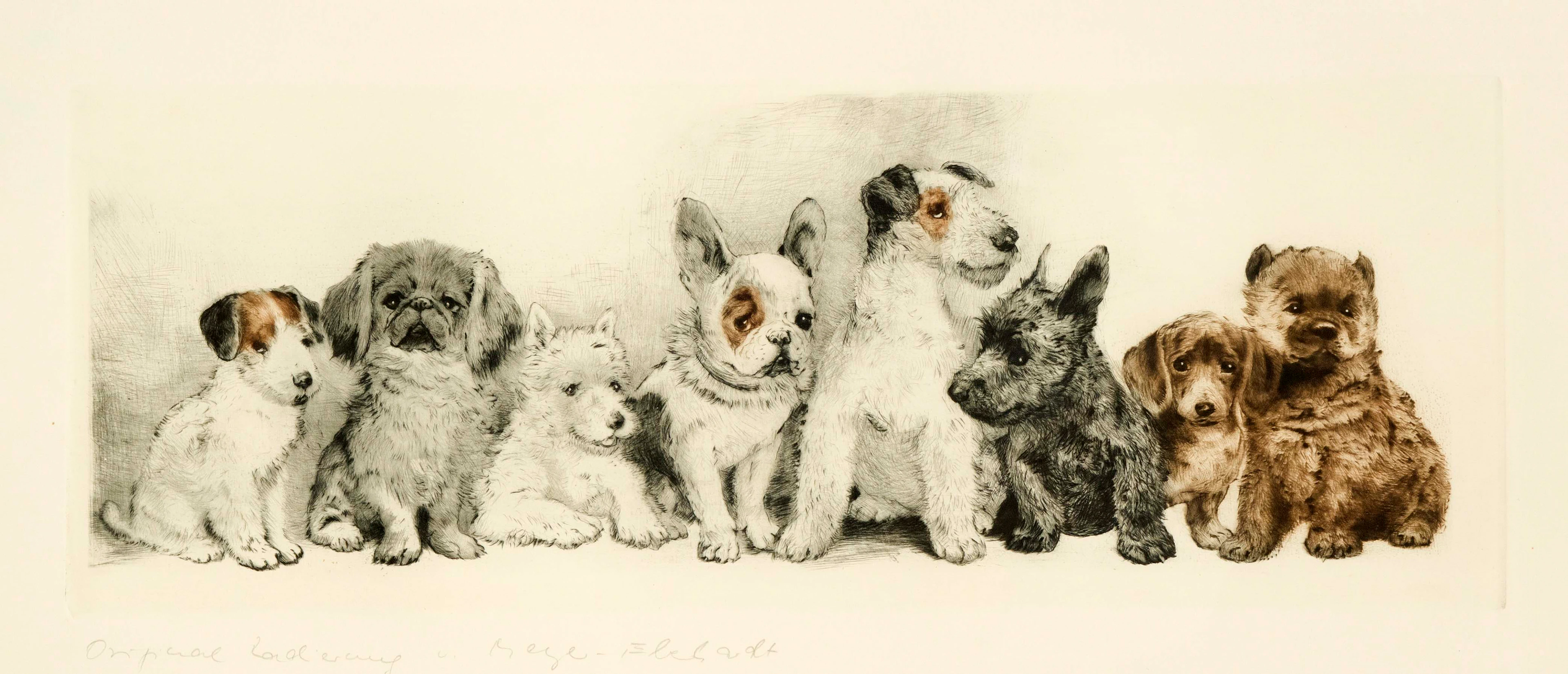 Kurt Meyer-Eberhardt (1895-1977)