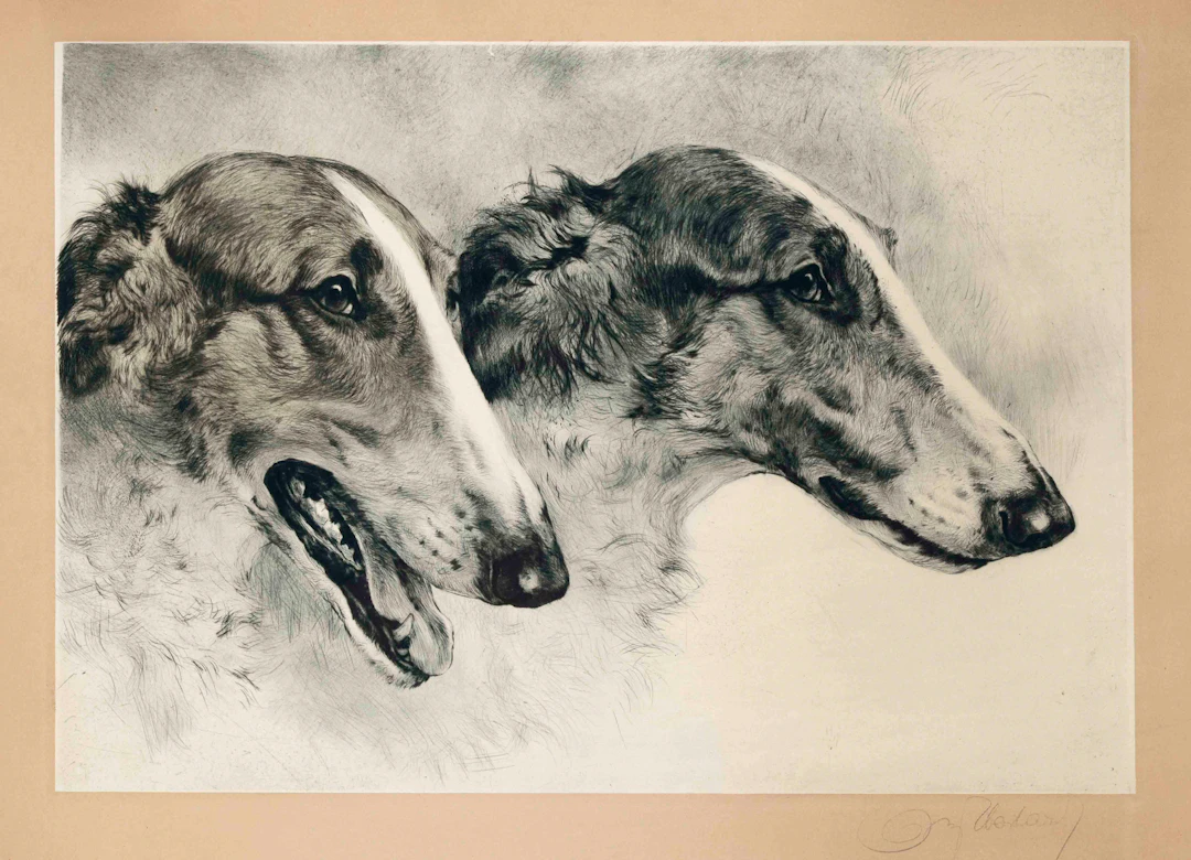 Kurt Meyer-Eberhardt (1895-1977)