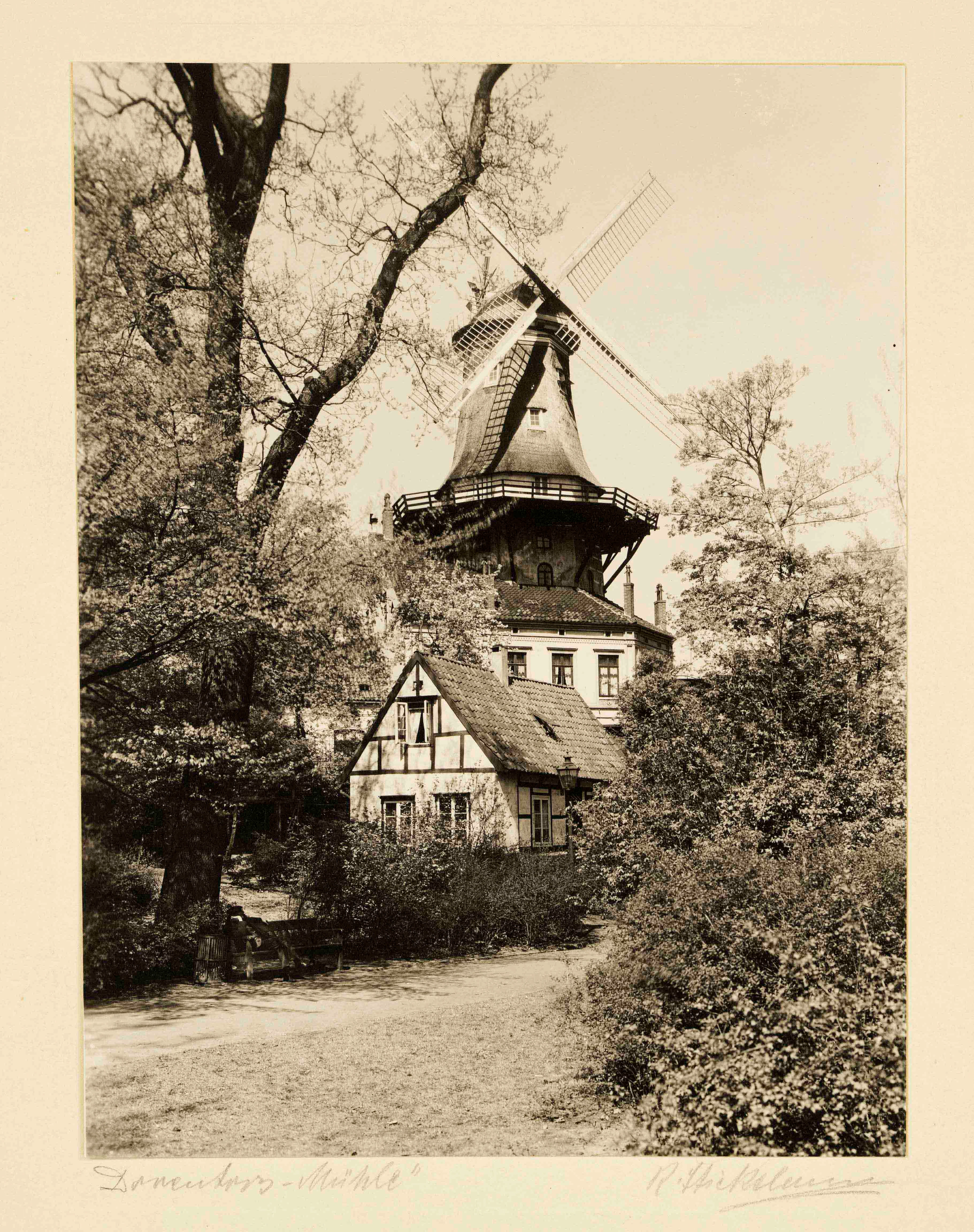 Rudolph Stickelmann (1870-1956)