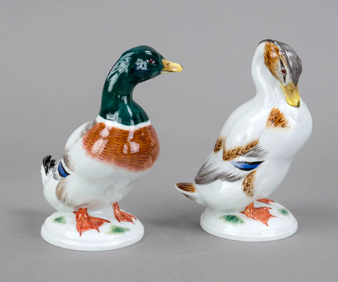 Erpel und Ente als Pendant, Meiss