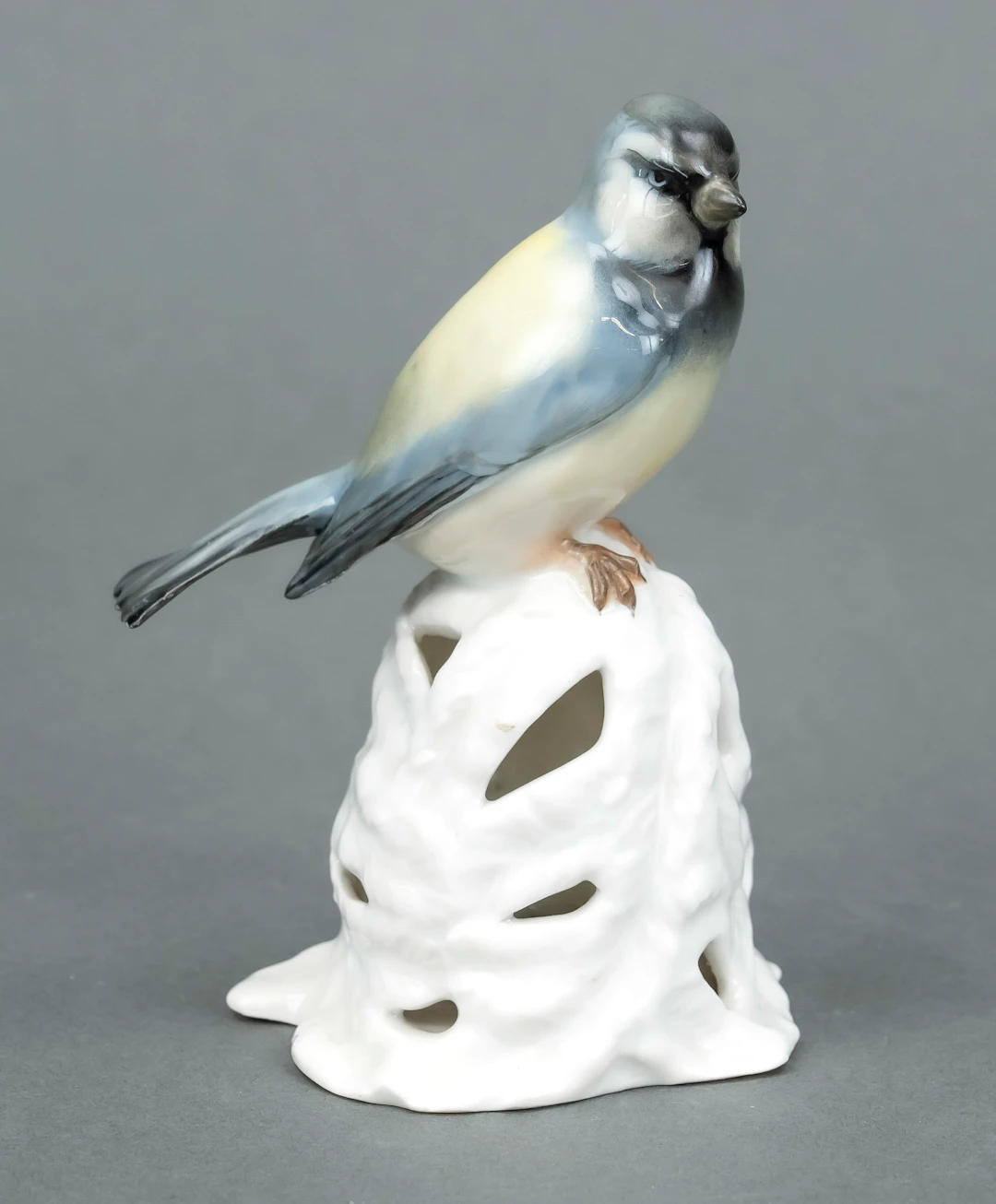 Vogel auf Blattwerk, Rosenthal. N