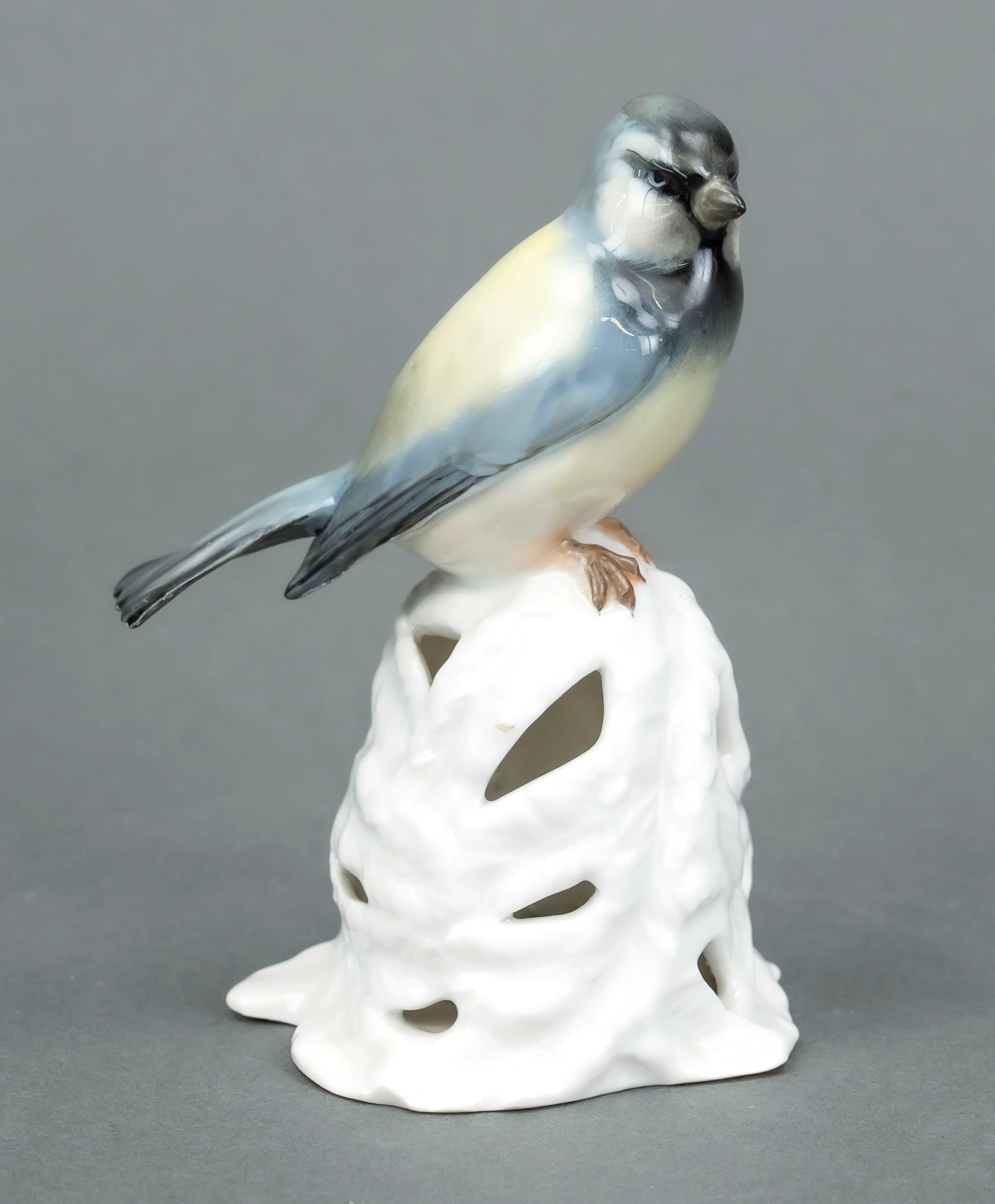 Vogel auf Blattwerk, Rosenthal. N
