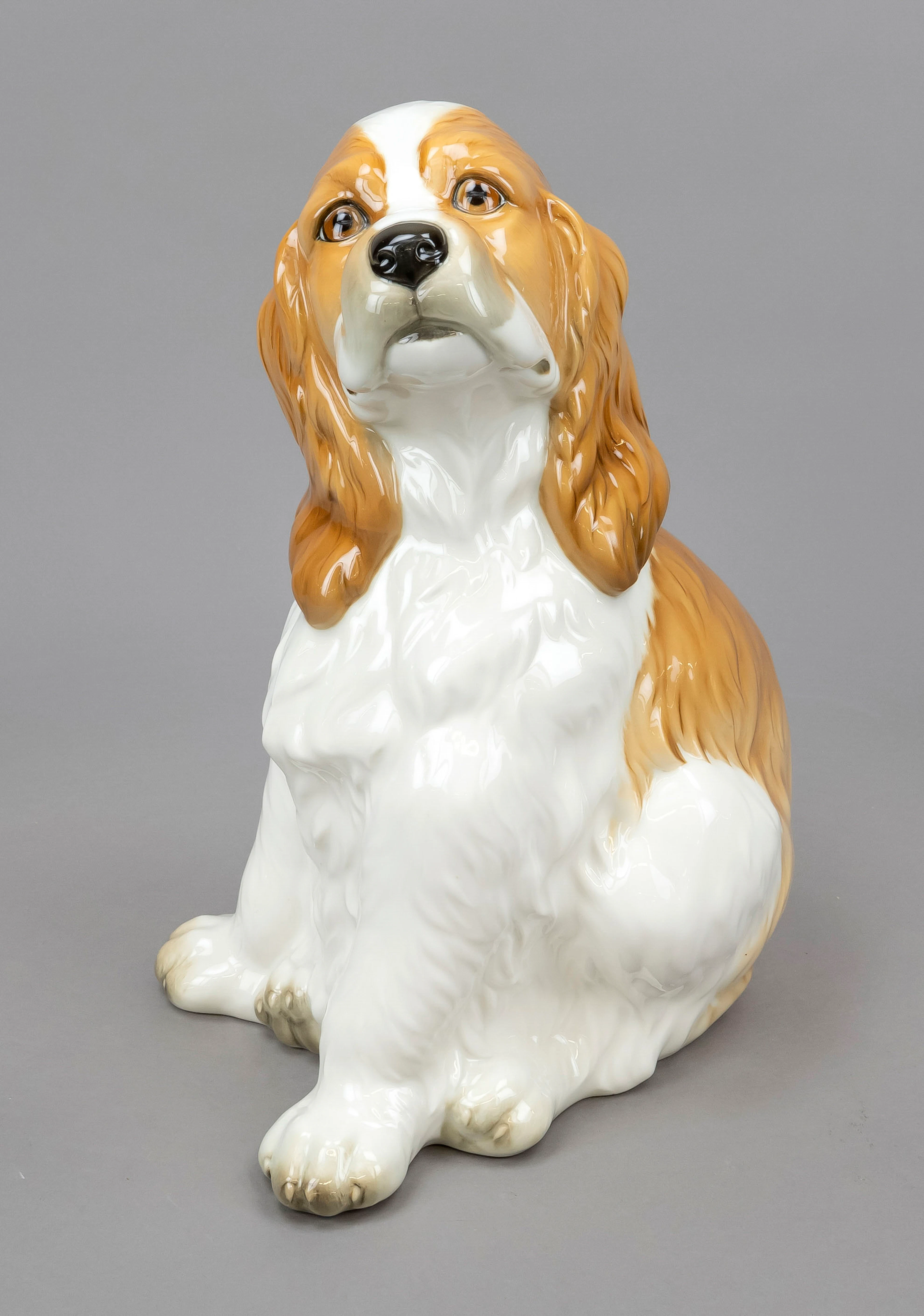 Sitzender Cocker Spaniel, Hutsche