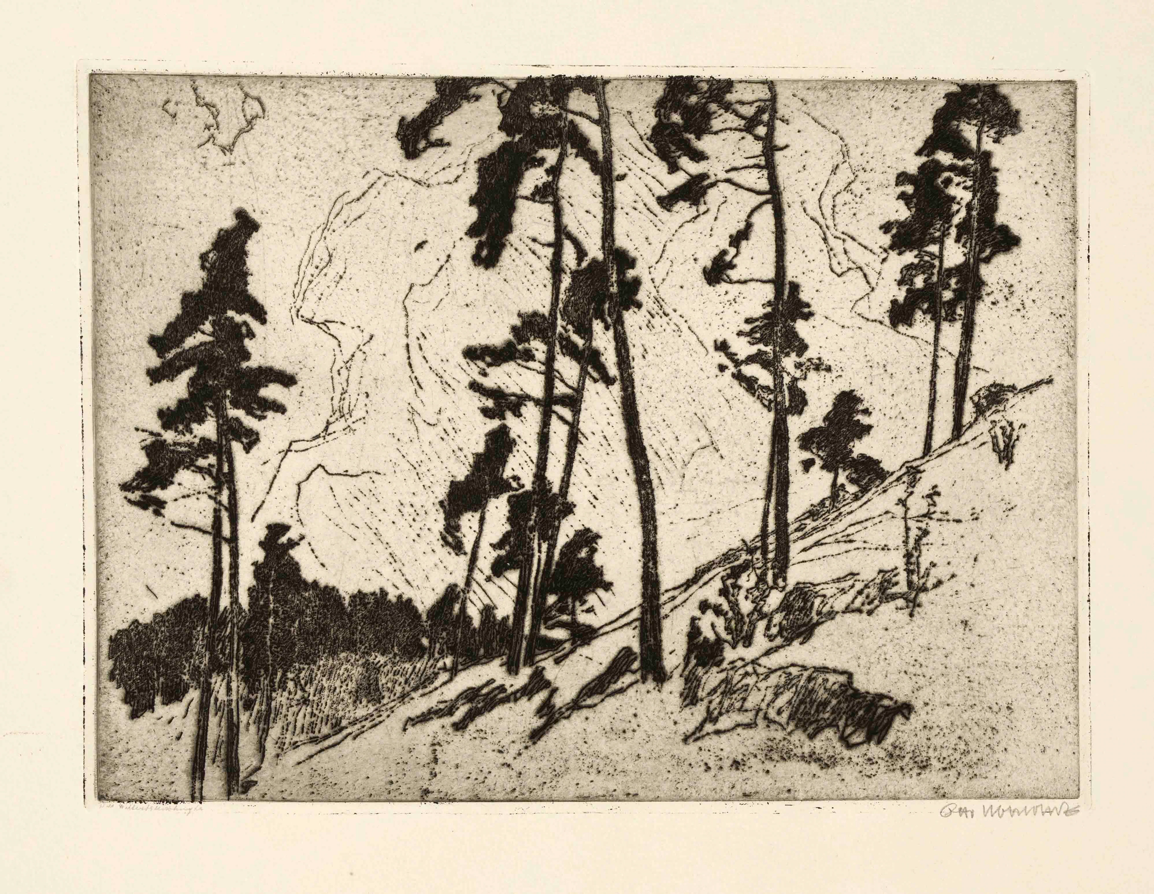 Otto Ubbelohde (1867-1922), Lands