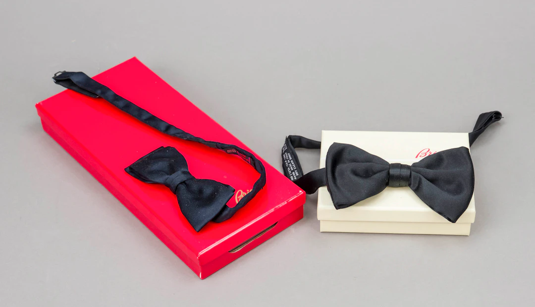 Brioni, schwarze Fliege aus reine