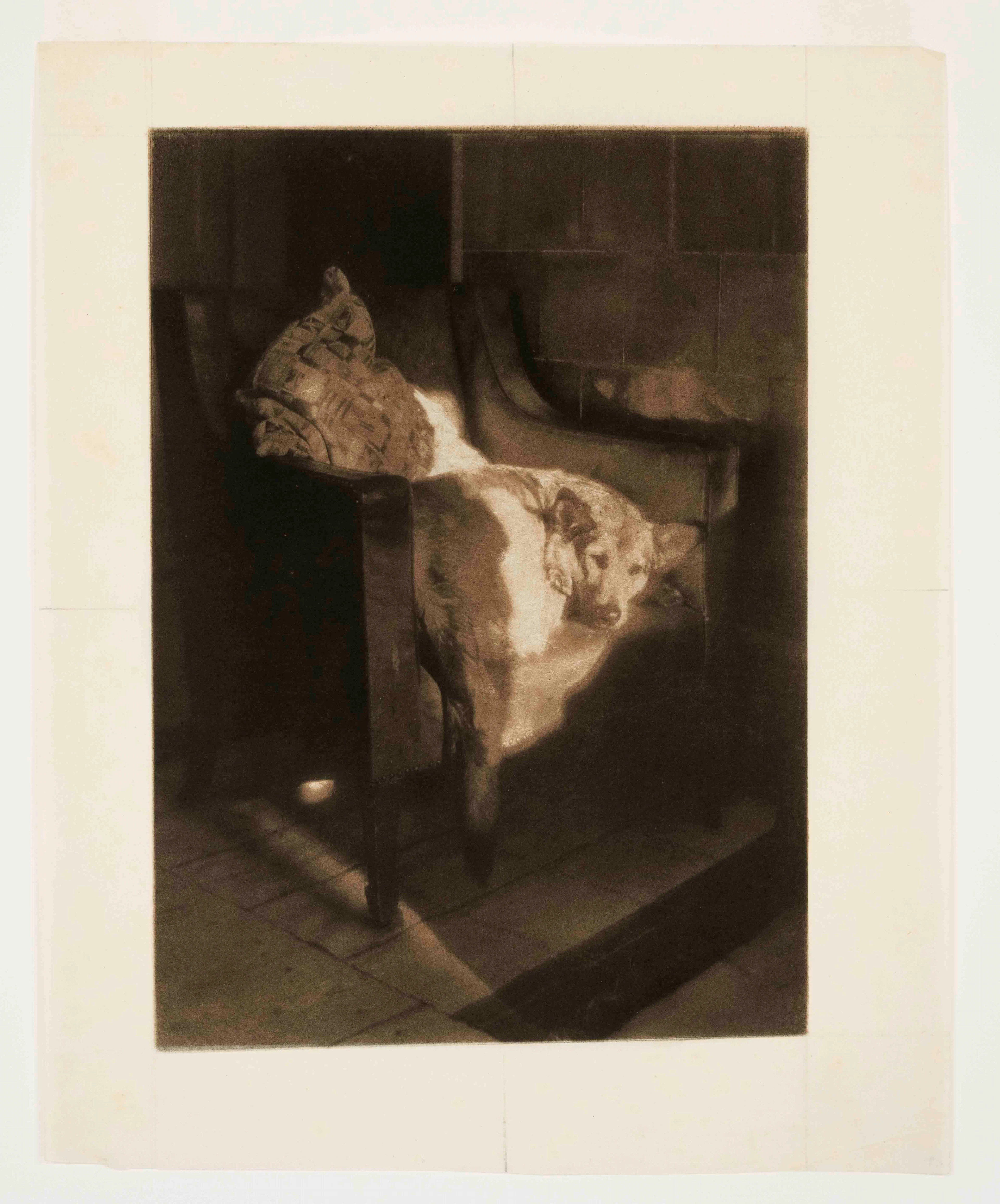 Heinrich Kühn (1866-1944), Pionie