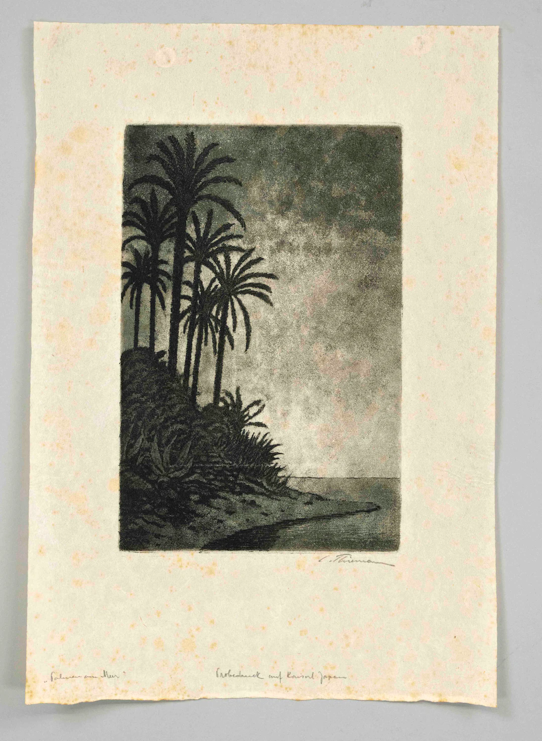 Carl Theodor Thiemann (1881-1966)