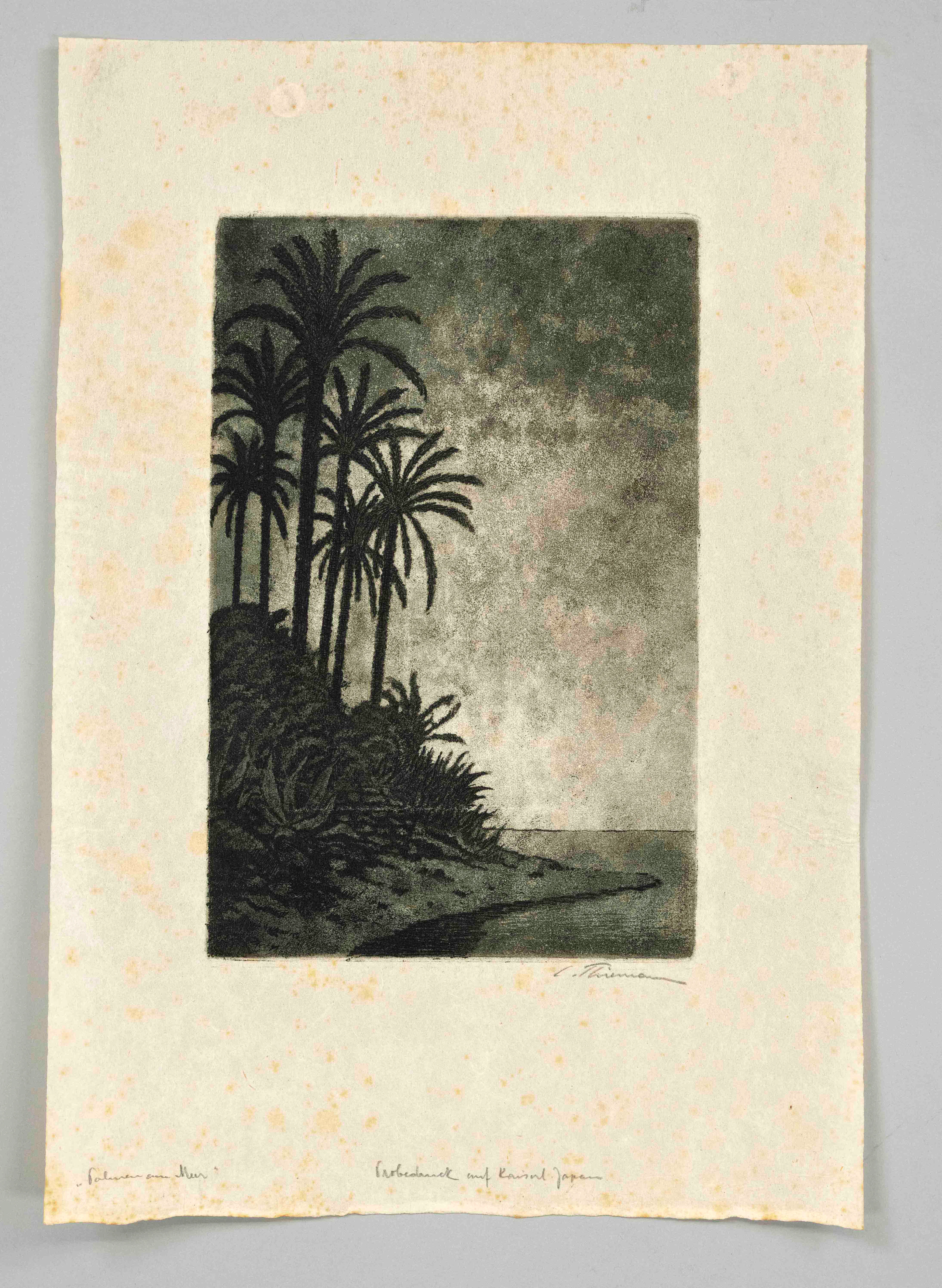Carl Theodor Thiemann (1881-1966)