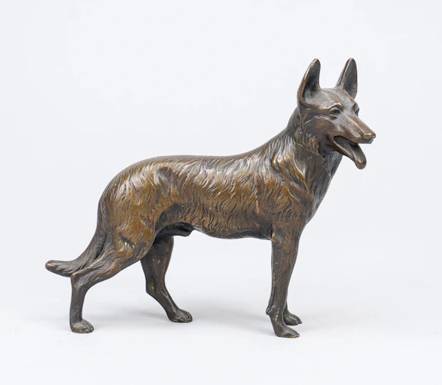 Deutscher Schäferhund, stehend mi