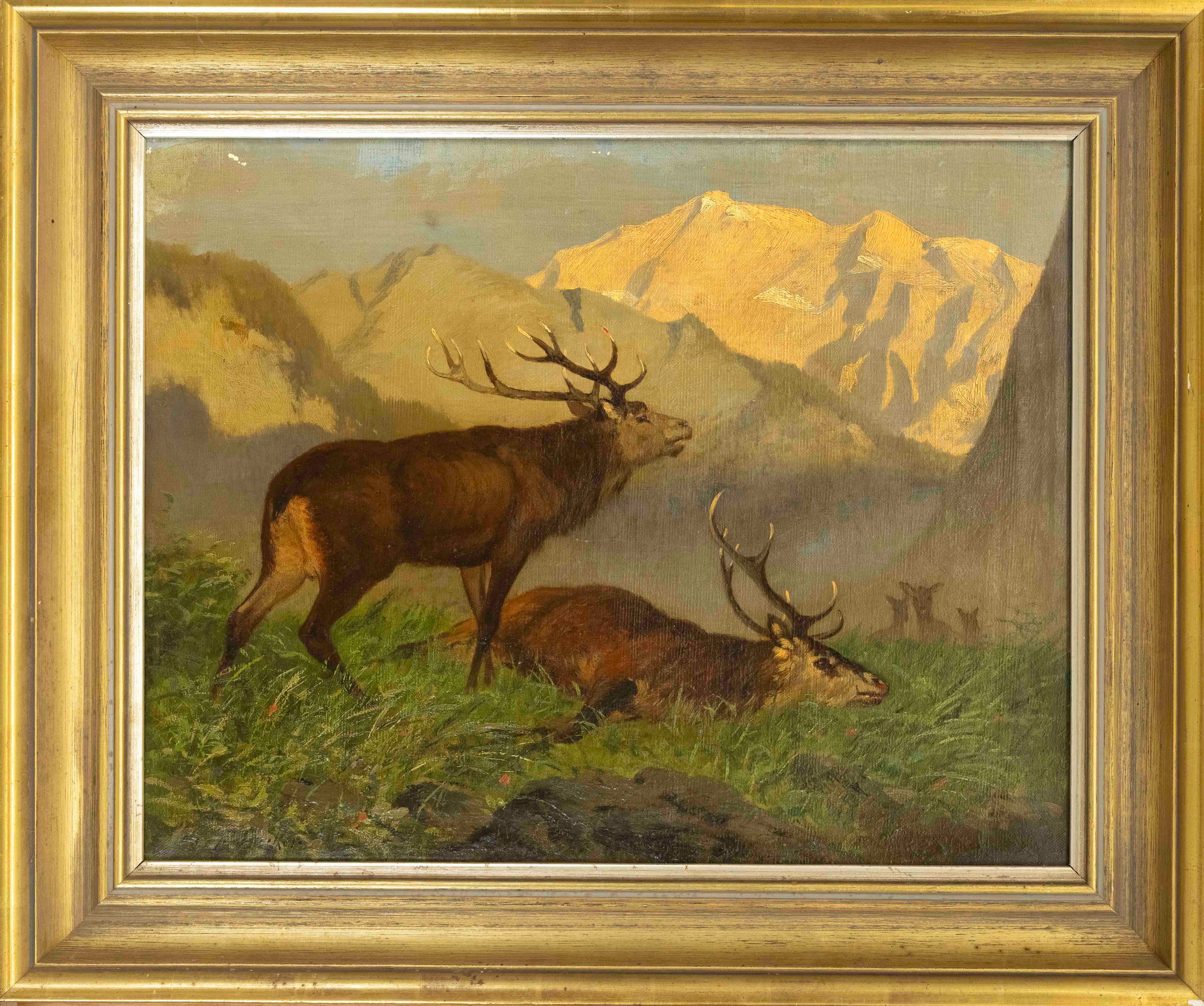 Carl Friedrich Deiker (1836-1892).