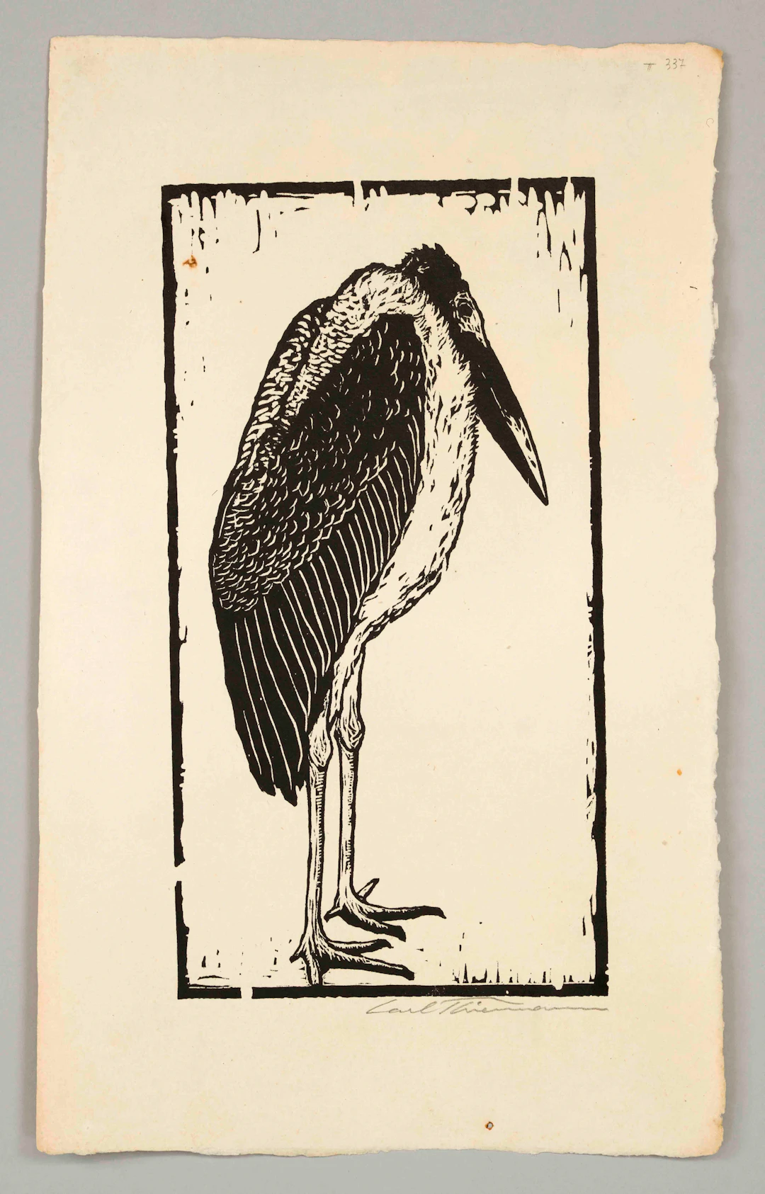 Carl Theodor Thiemann (1881-1966)
