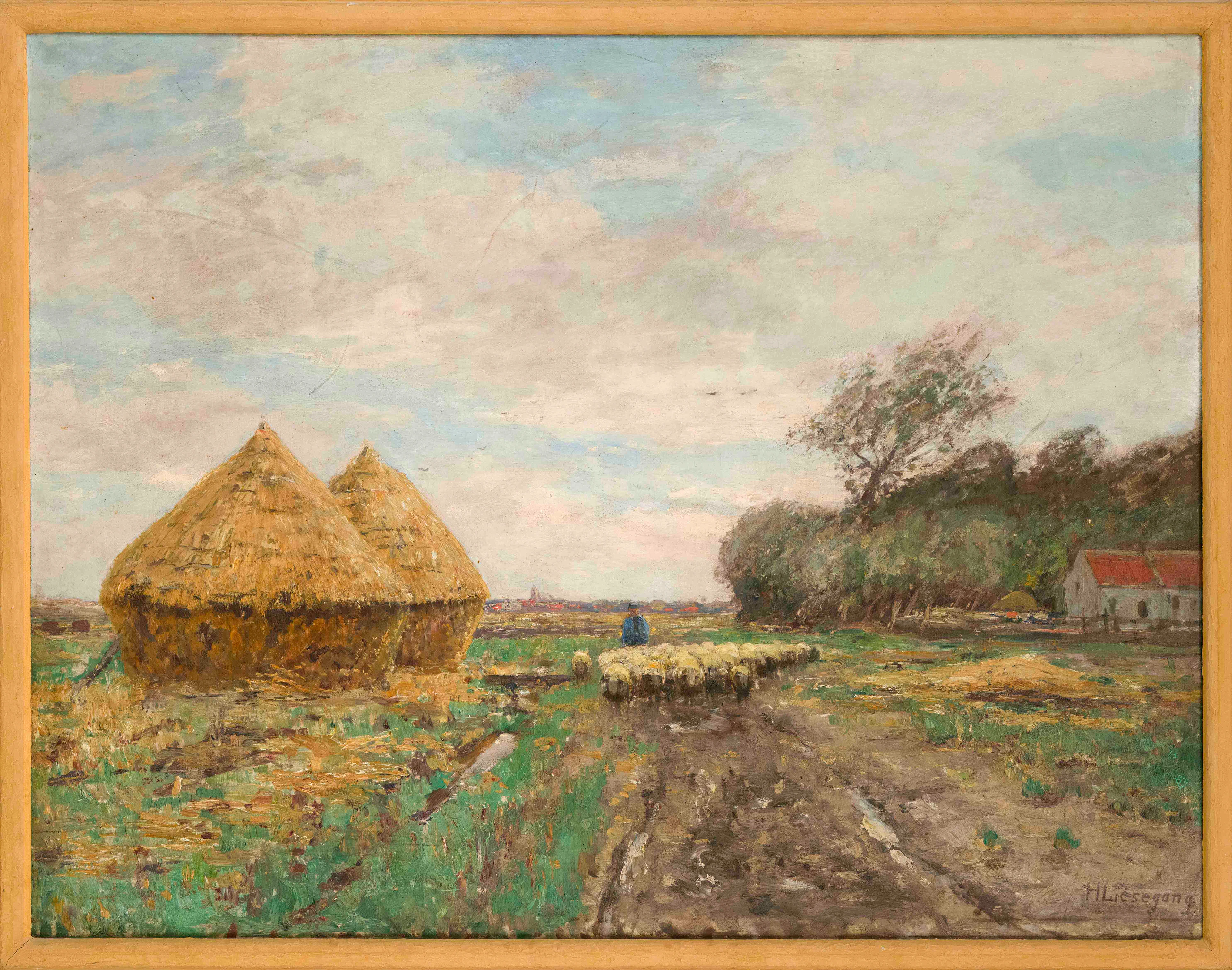 Helmut Liesegang (1858-1945), gro