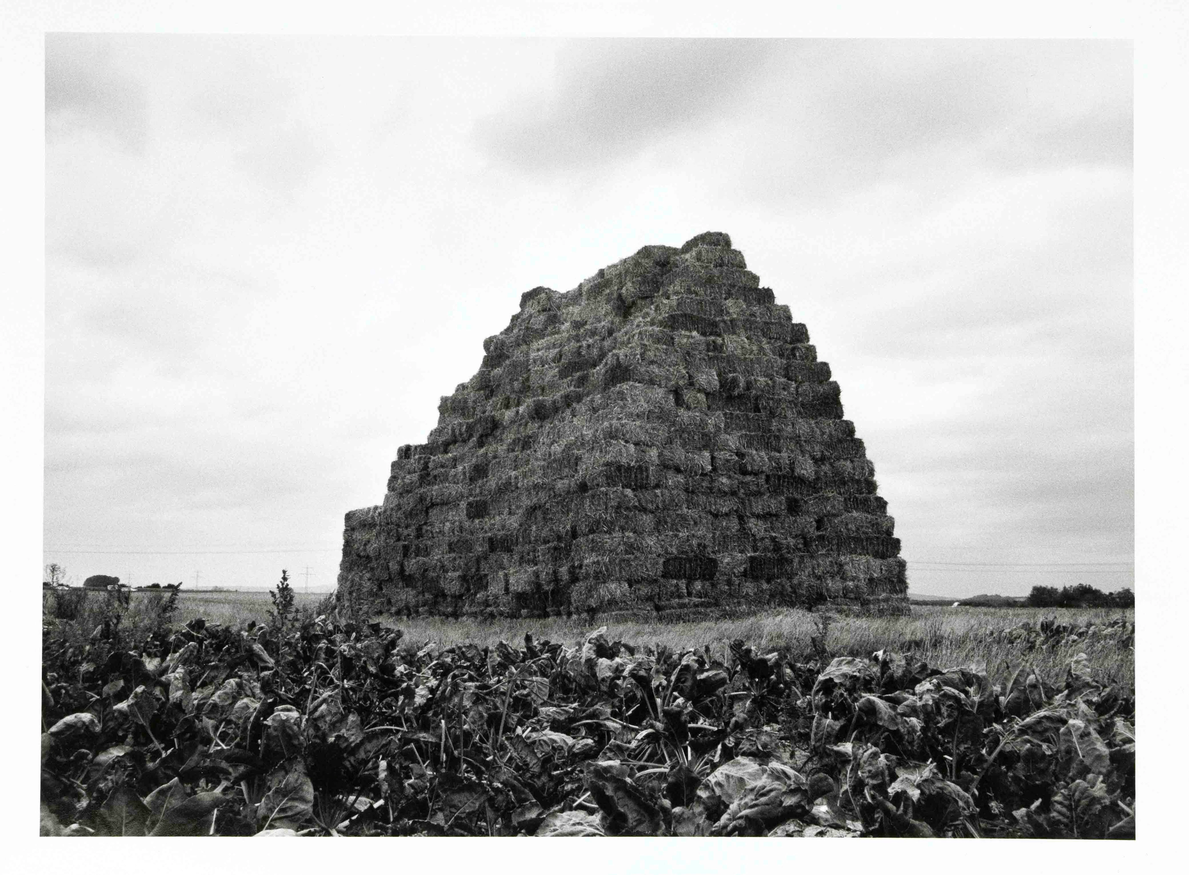 Claus Bury (*1946), Bauernarchite