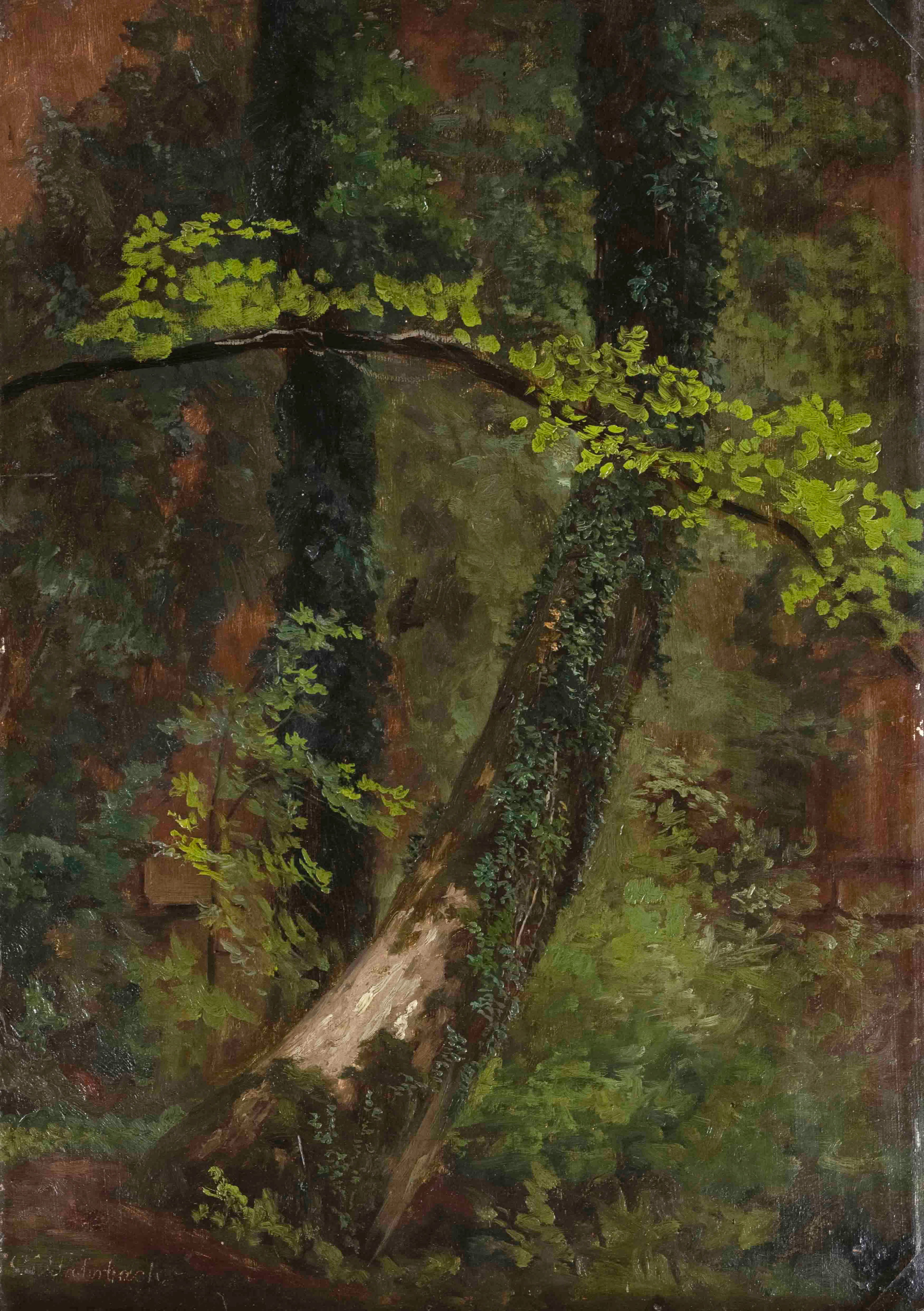 Carl Ludwig Fahrbach (1835-1902), He