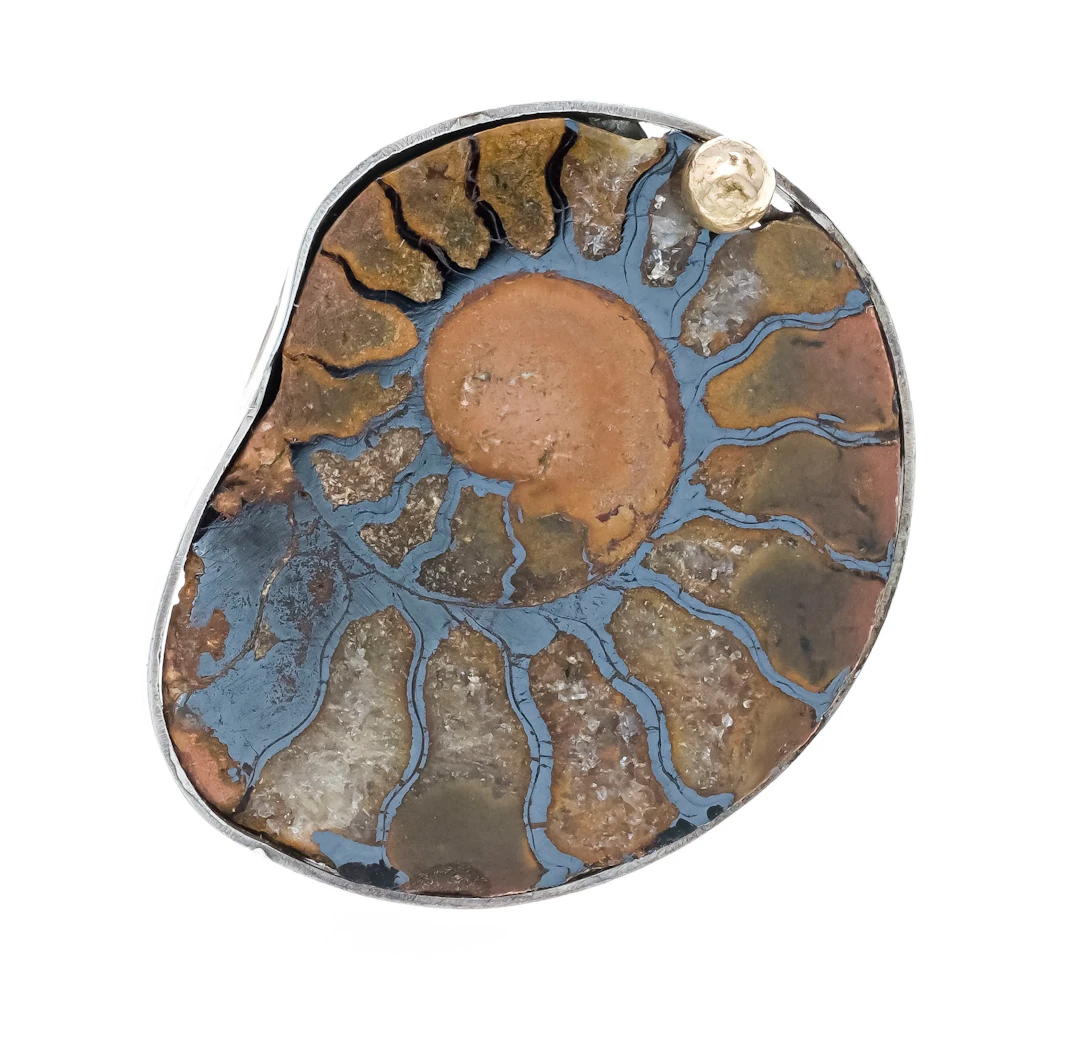 Nautilus-Anstecknadel Silber 925/
