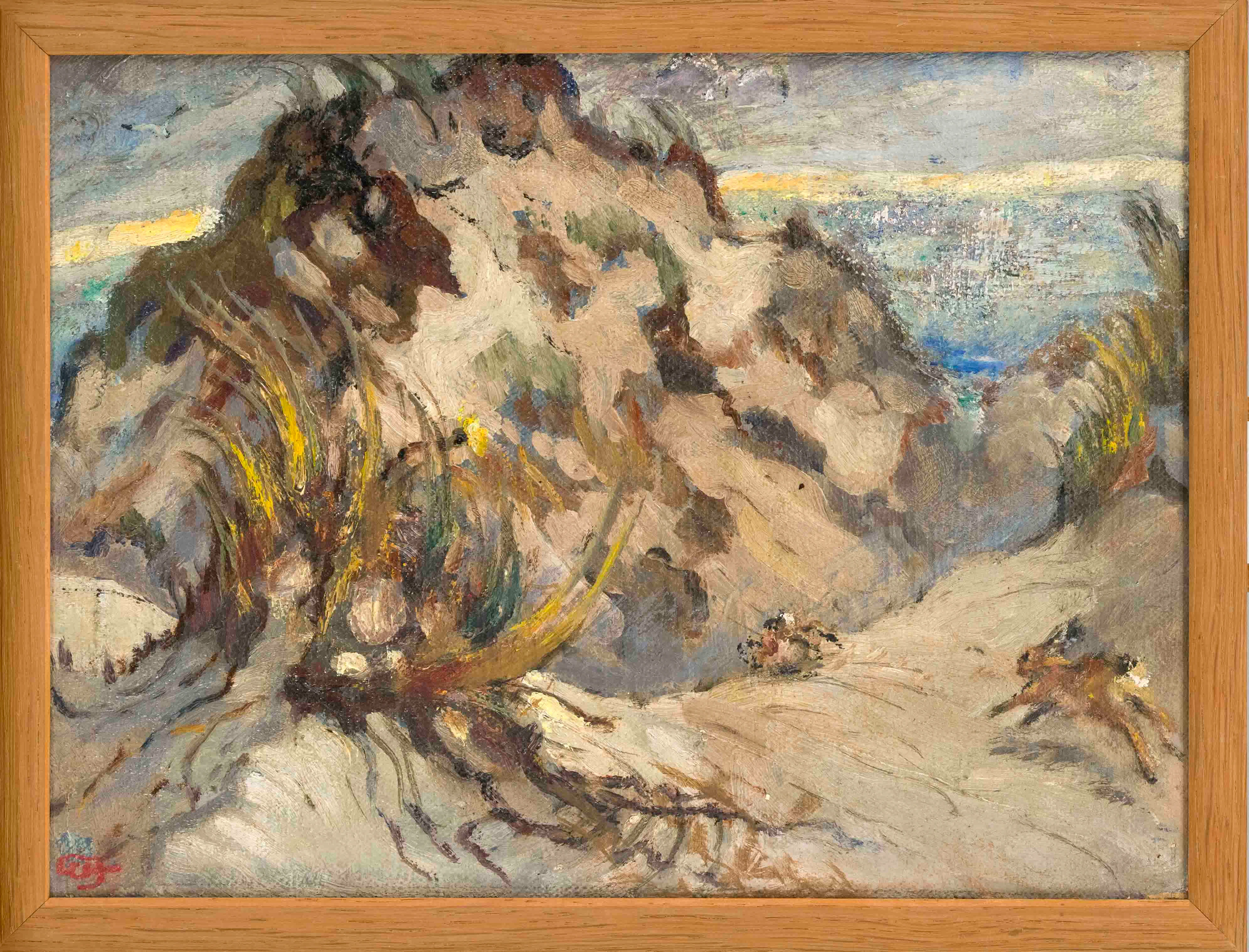 Wilhelm Focke (1878-1974), norddt