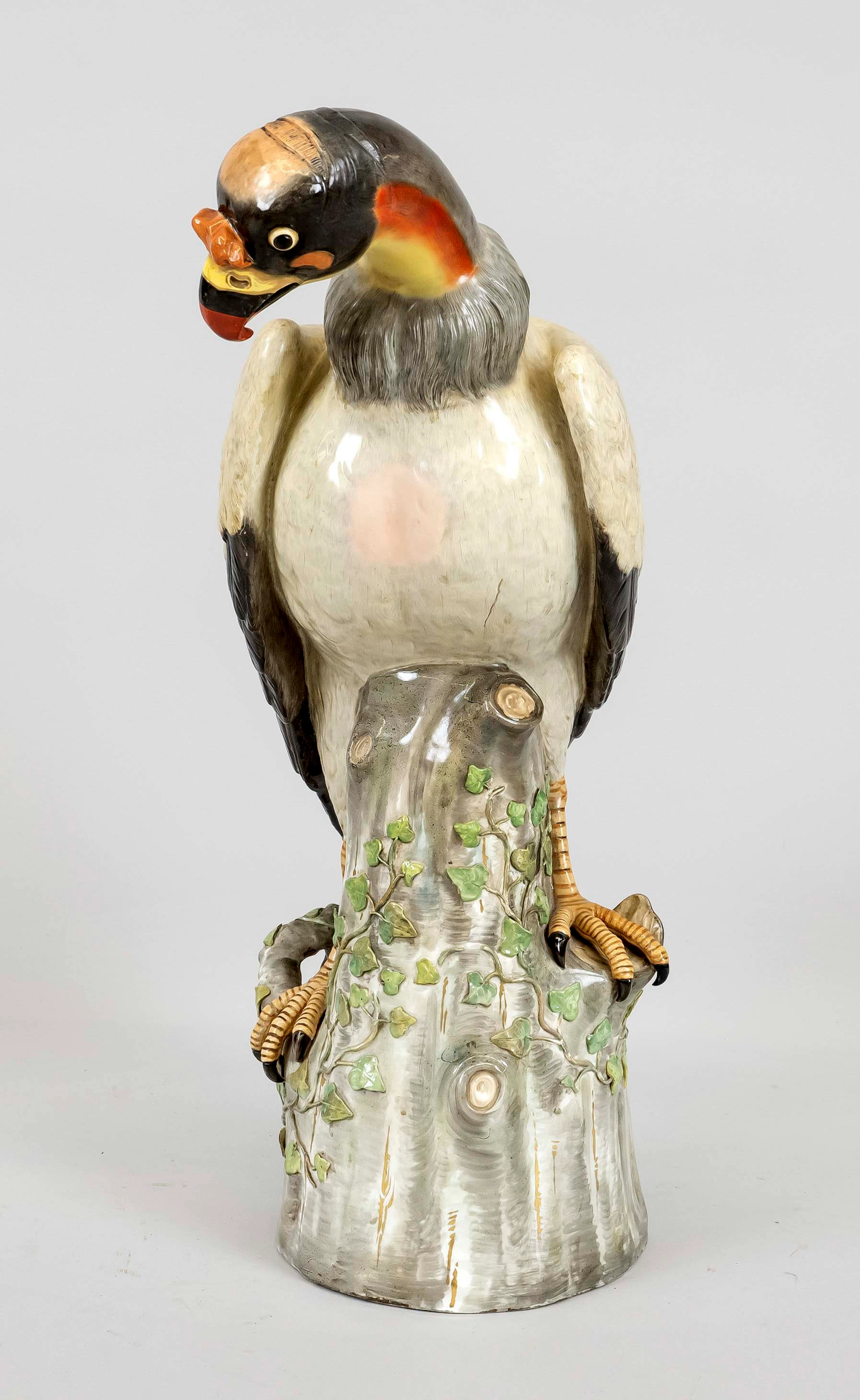 Königsgeier auf einem Baumstamm, M
