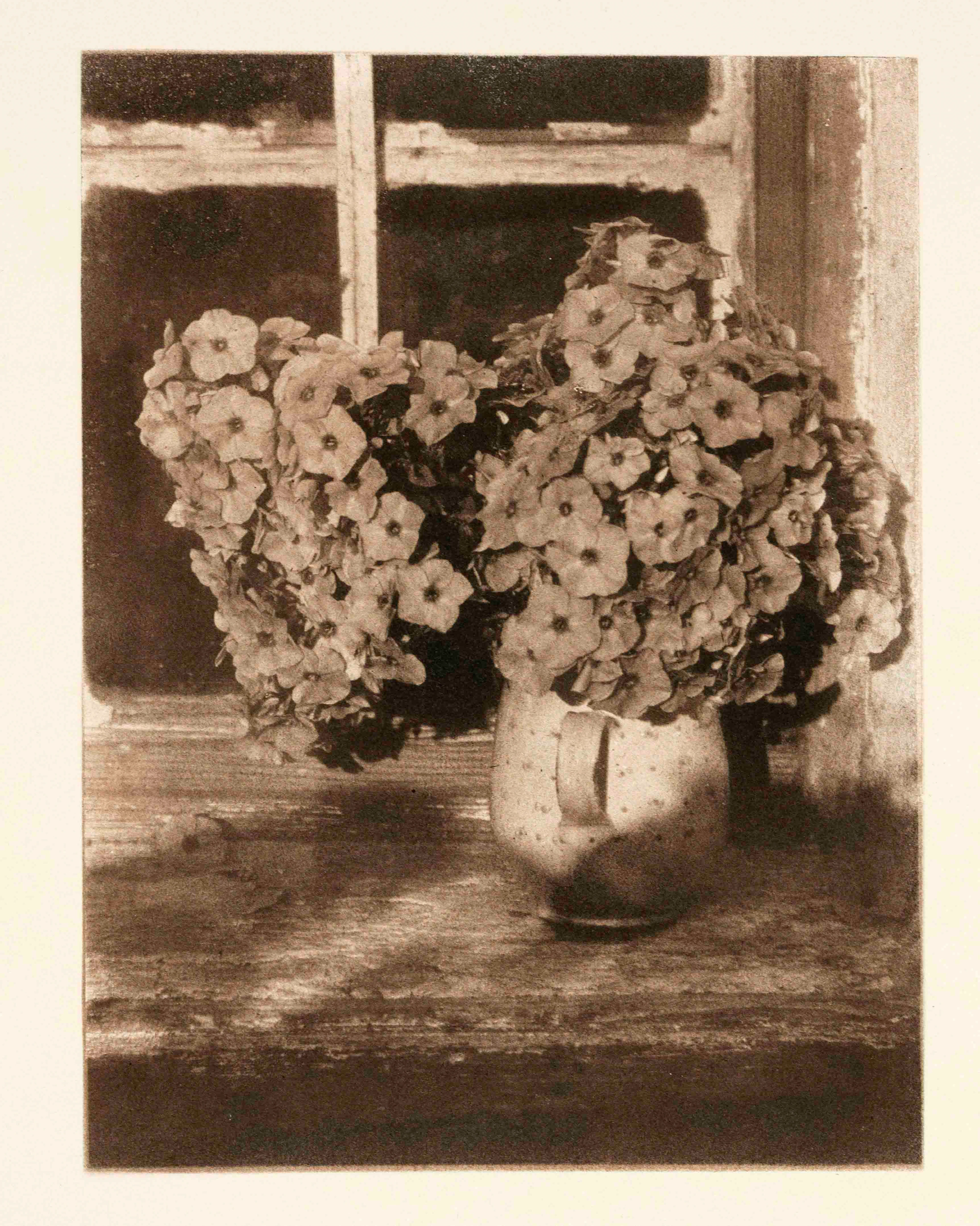 Heinrich Kühn (1866-1944), Pionie