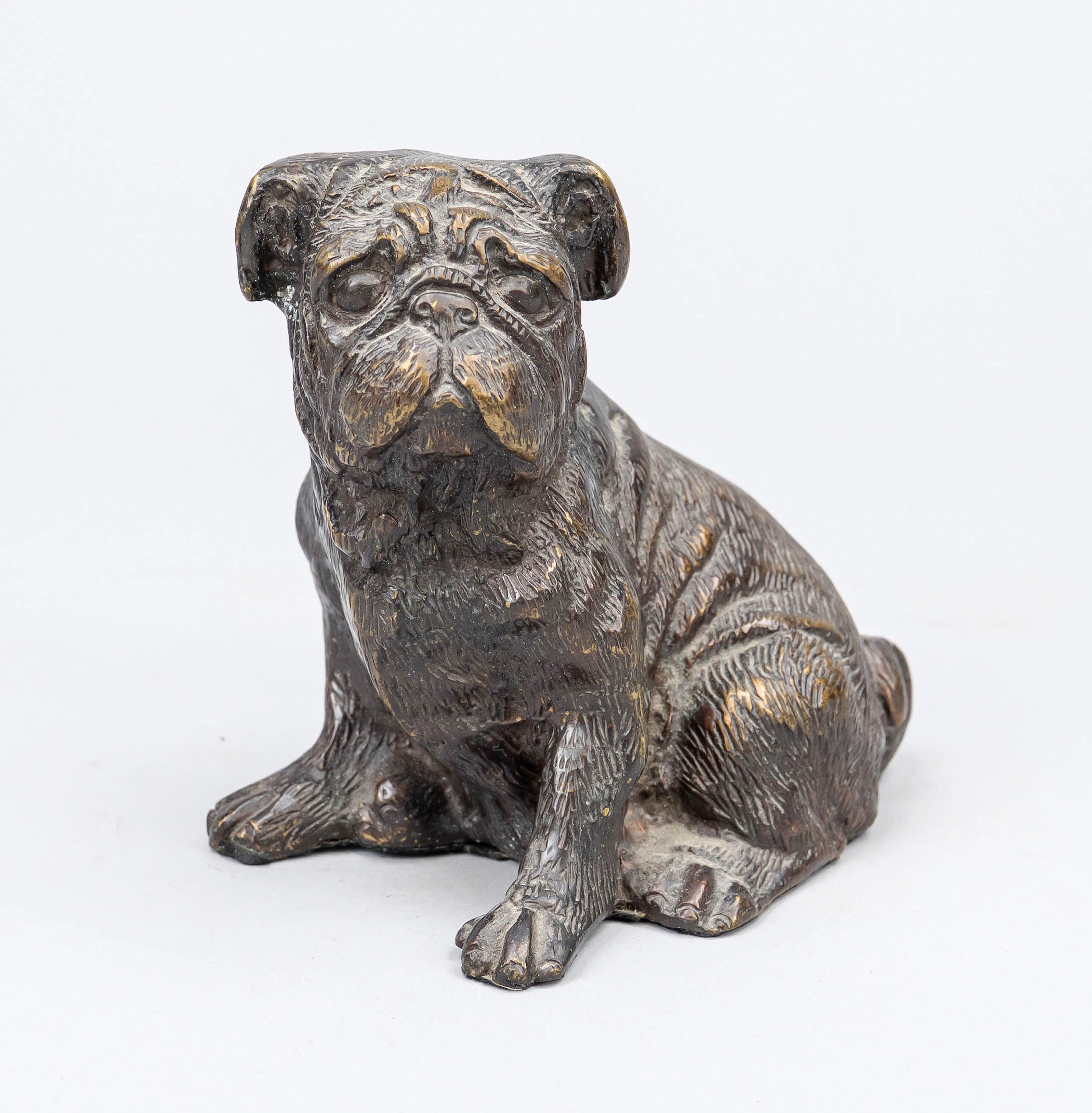 Sitzender Bulldoggenwelpe mit fal