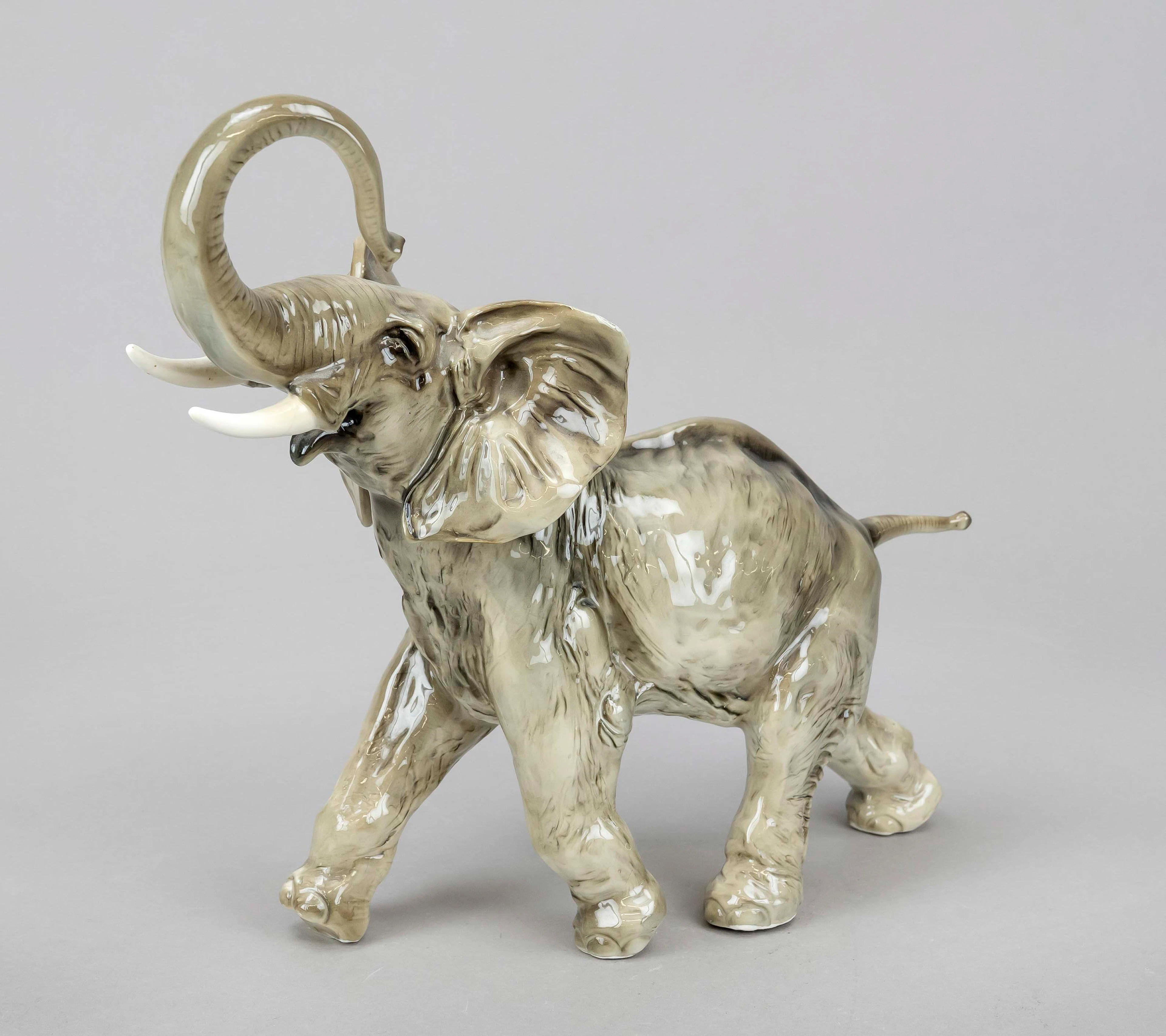 Elefant mit erhobenem Rüssel als