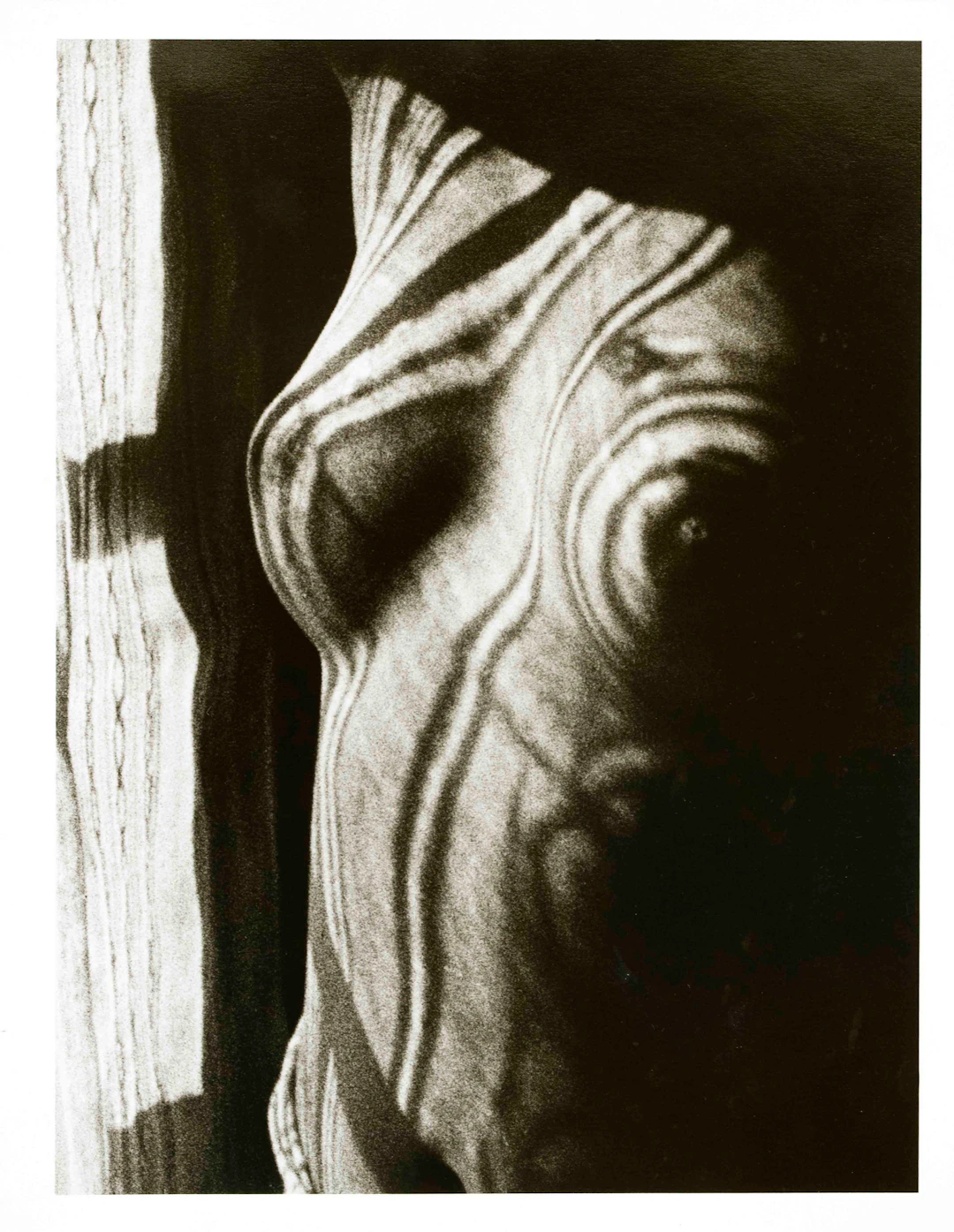 Man Ray (1890-1976), Retour a la