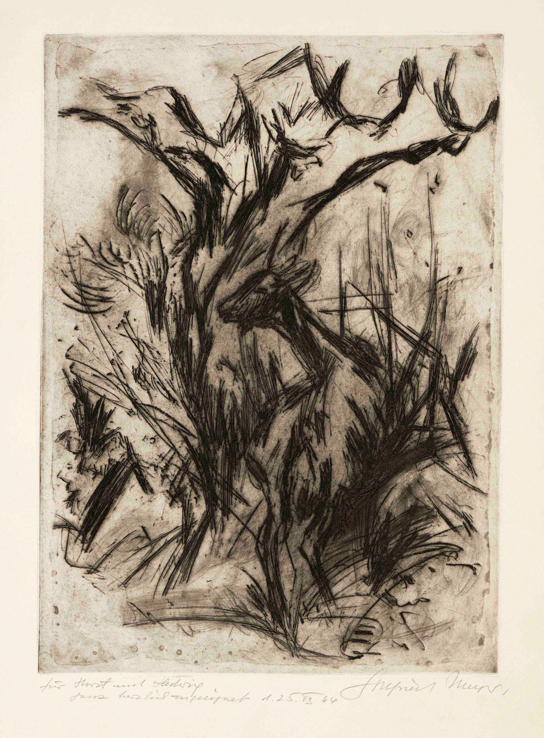 Gottfried Meyer (1911-2005), Stut