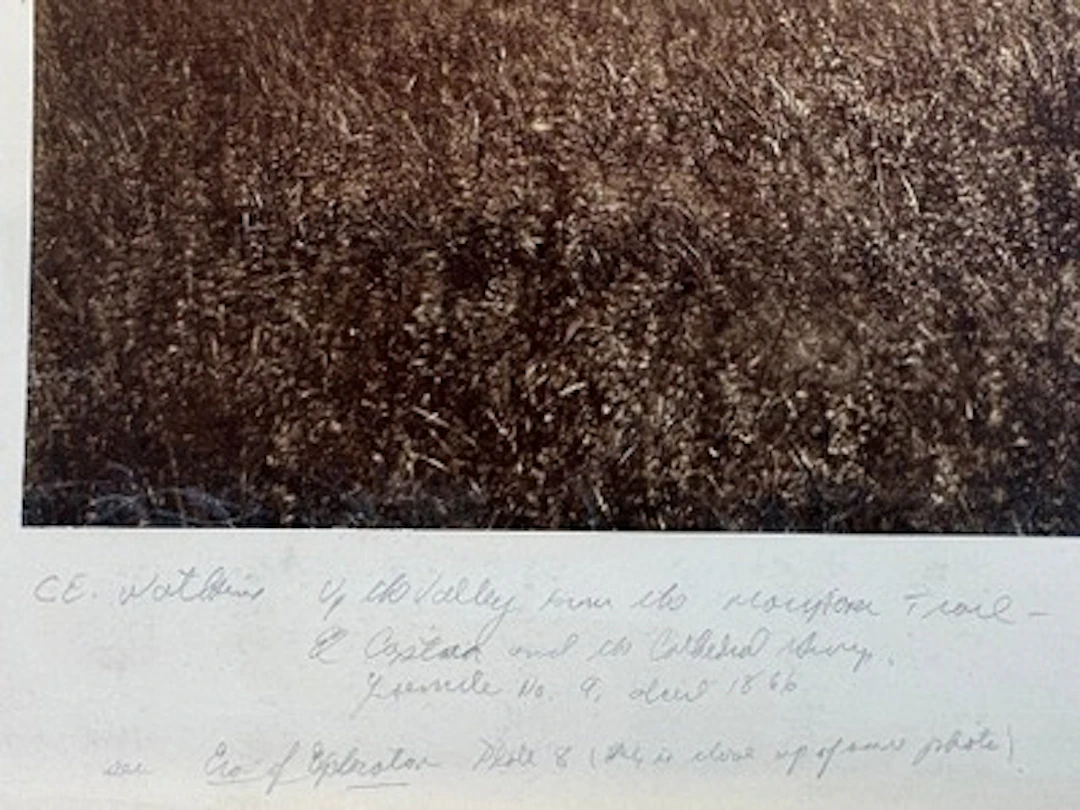 Carleton Watkins Mammoth Albumen Photo