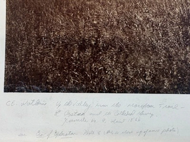 Carleton Watkins Mammoth Albumen Photo