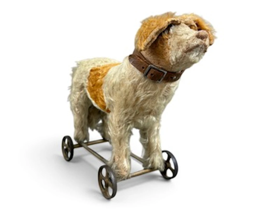 Glass-Eyed Dog on Wheels