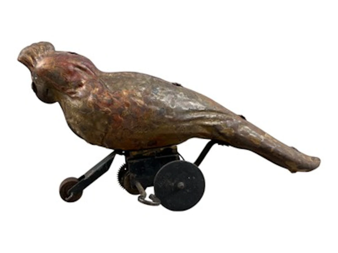 European Parrot on Wheels