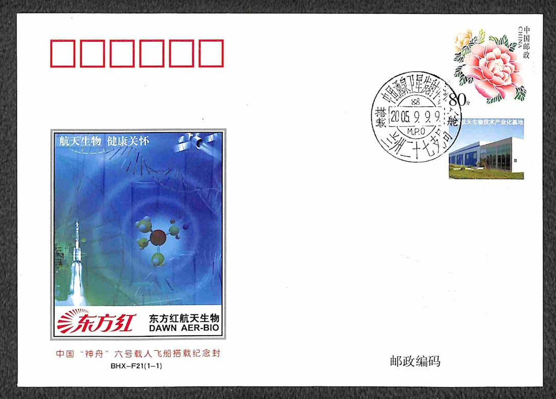Europa e Oltremare - Cina - 2005 Shenzhou-6 - cosmogramma ufficiale