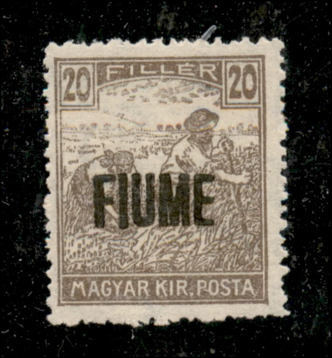 Occupazioni I guerra mondiale - Fiume - 1918 Esemplare del 20 filler