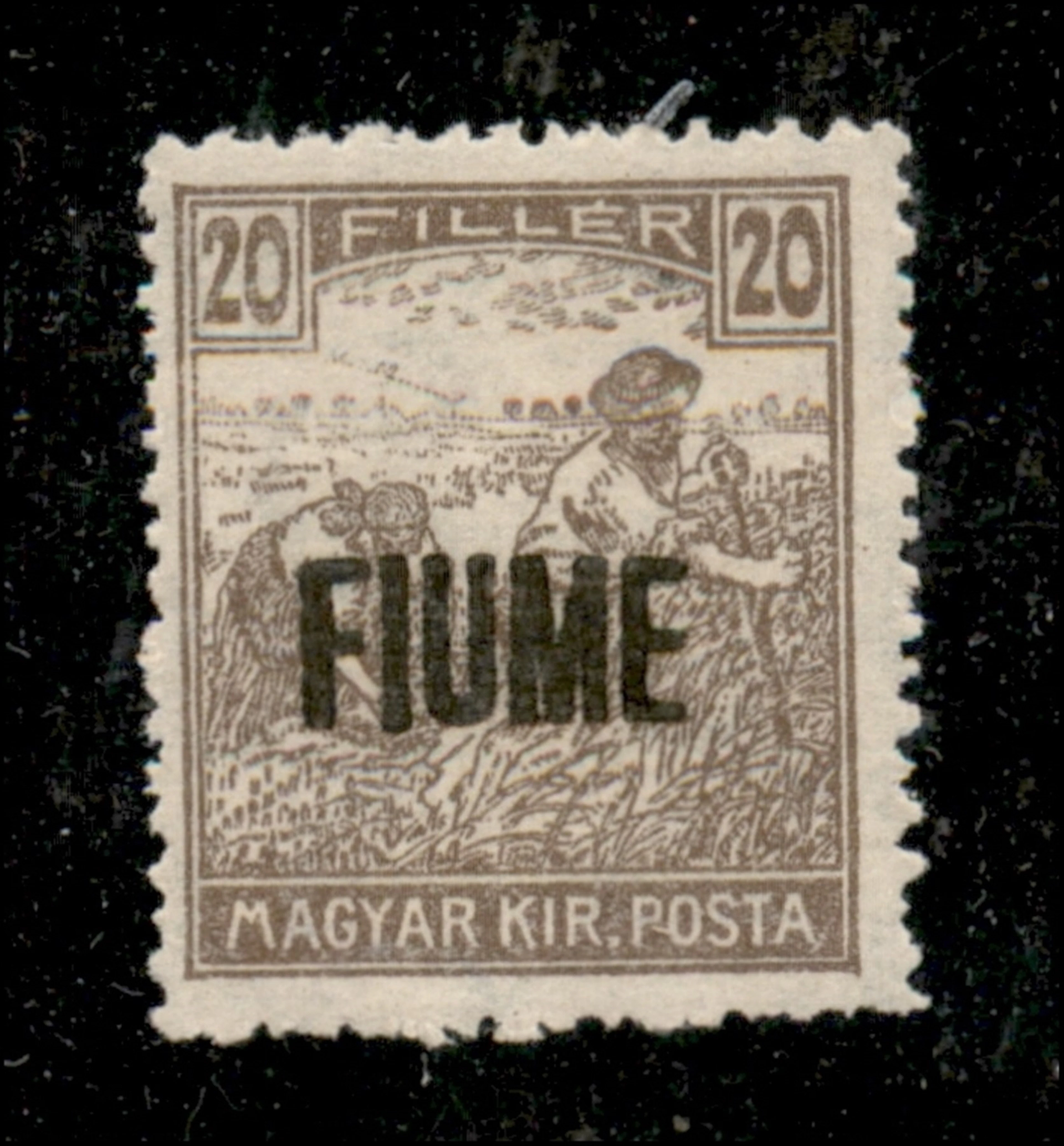 Occupazioni I guerra mondiale - Fiume - 1918 Esemplare del 20 filler