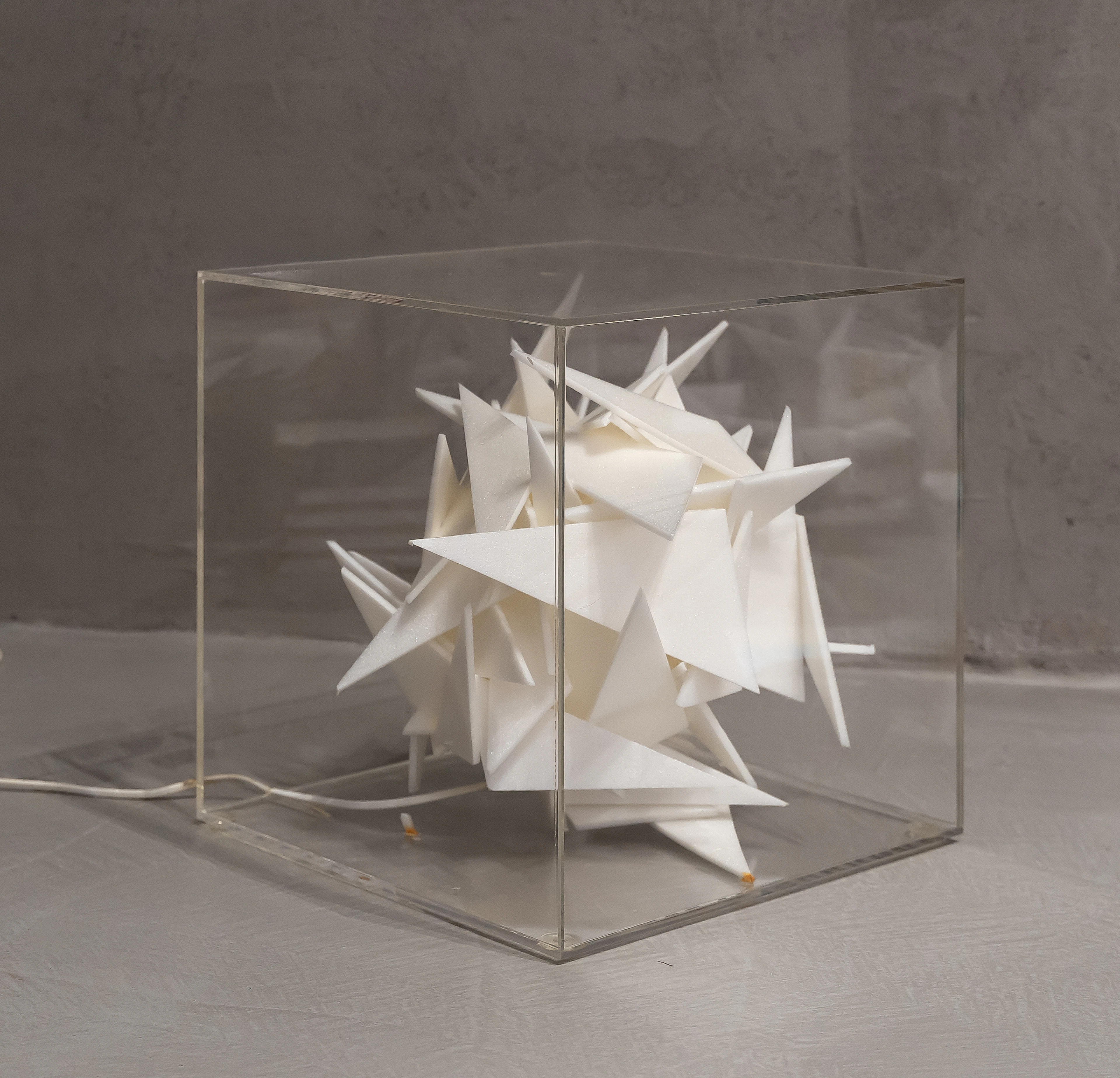 DANIELE STATERA Stella 2009 Lampada in polistirolo entro teca in plexiglass