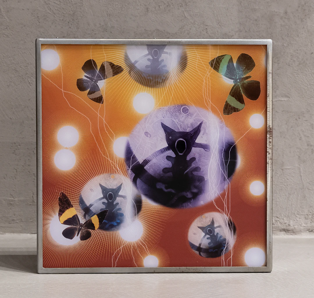 DI VINCI LINO (1962) Senza titolo Lightbox 40 x 40 x 9 cm Firma al