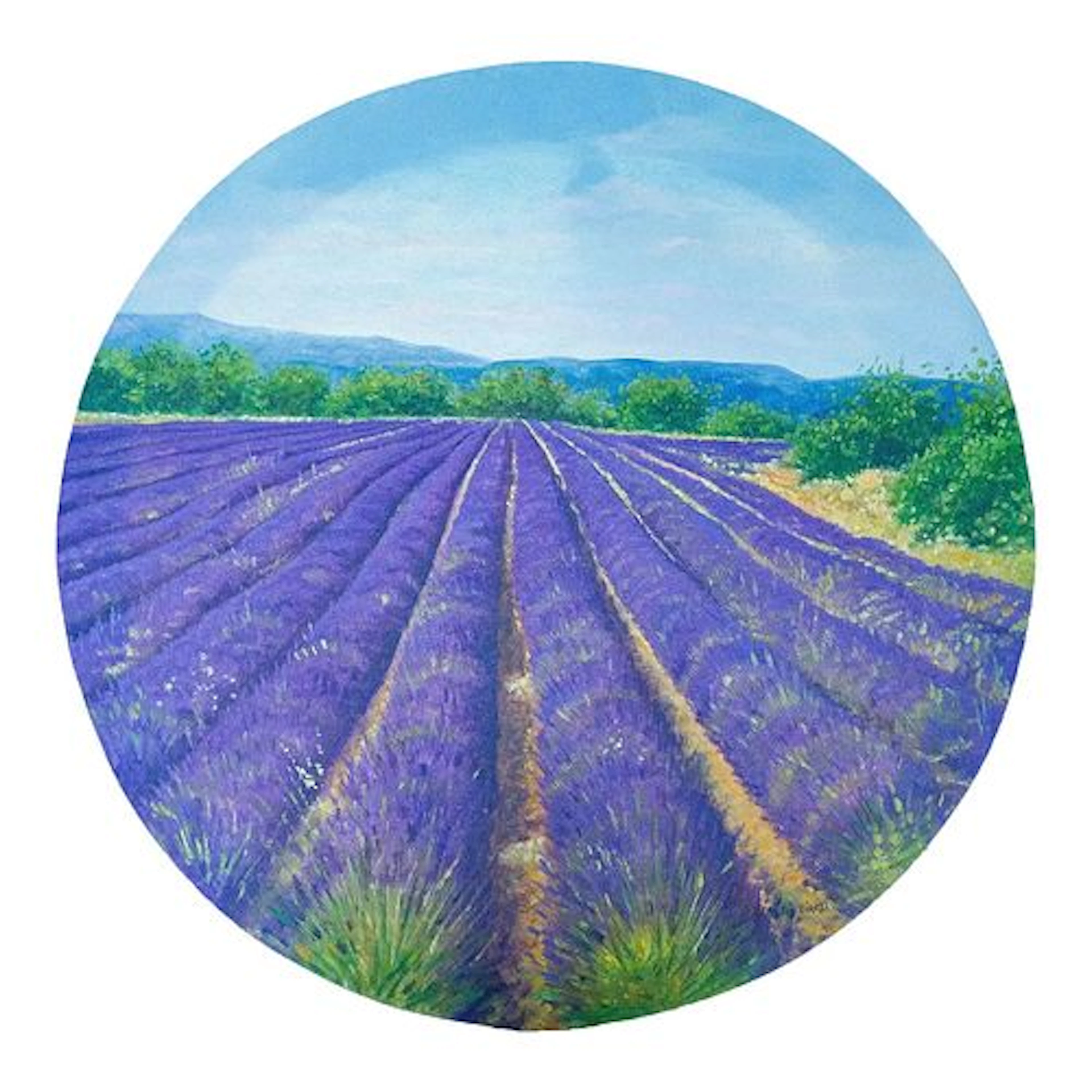 1960s Claudio Ciardi - Fioritura Di Lavanda, Oil on Board