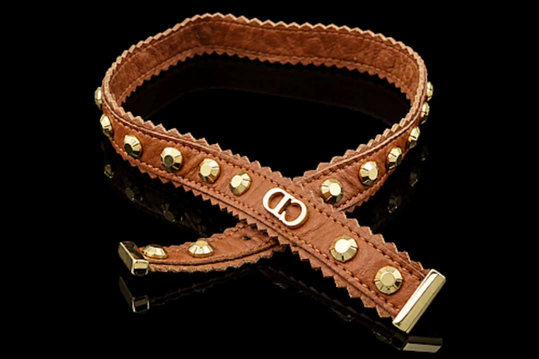 Dior Suede Studded choker