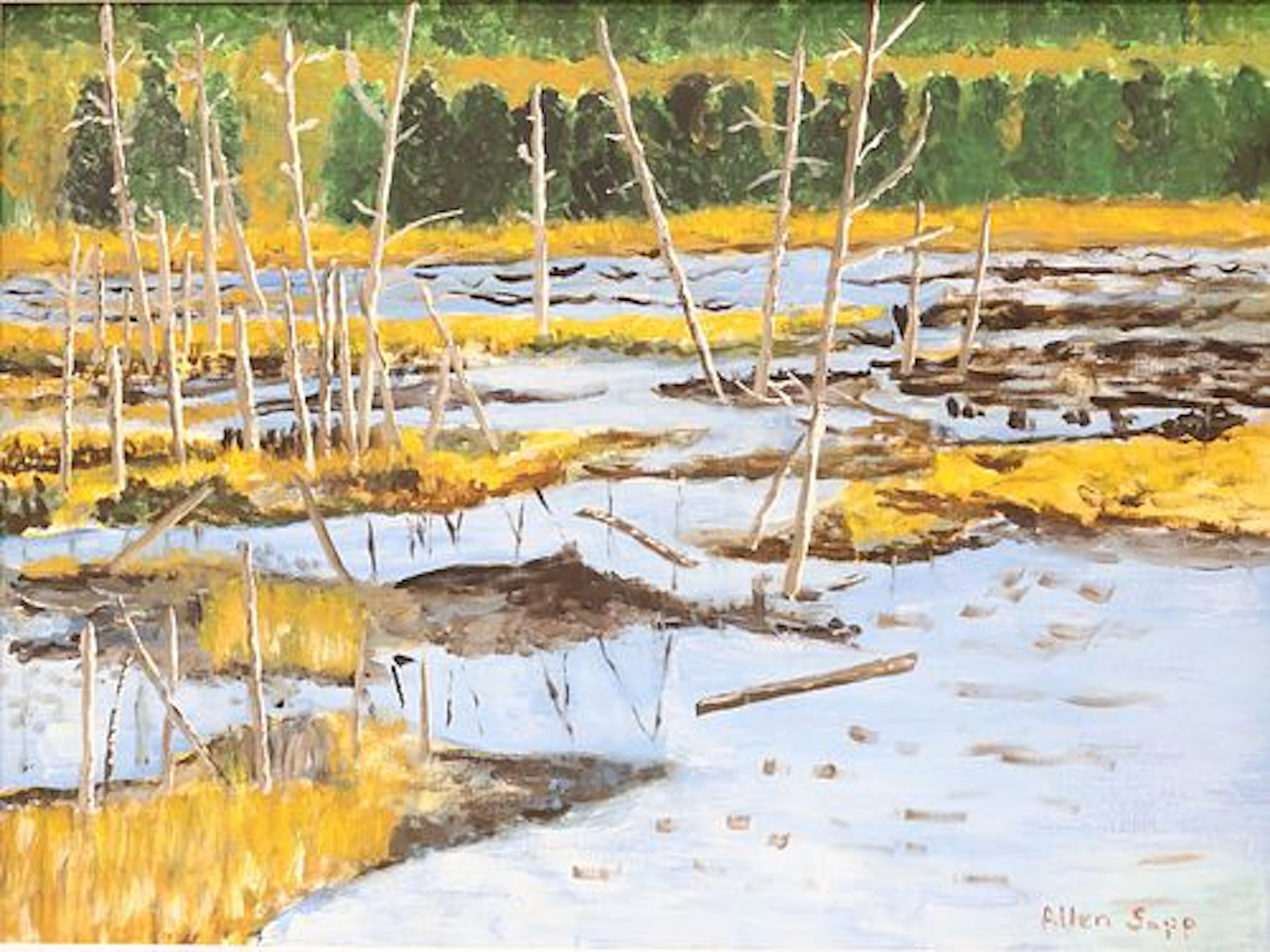 Allen Sapp, RCA OC, Cree (1929-2014)