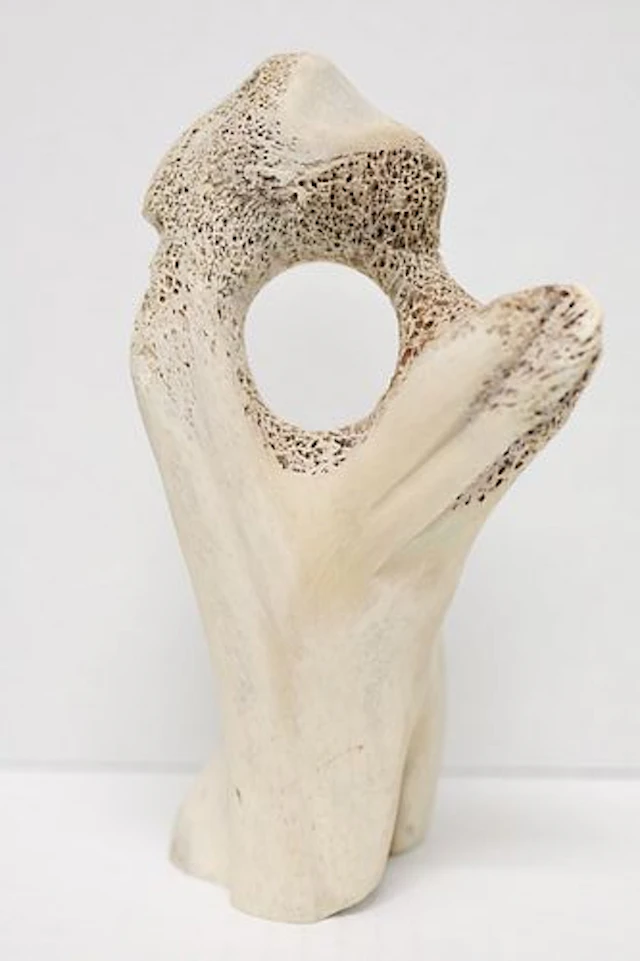 Alex Alikashuak, Inuit (b.1952)