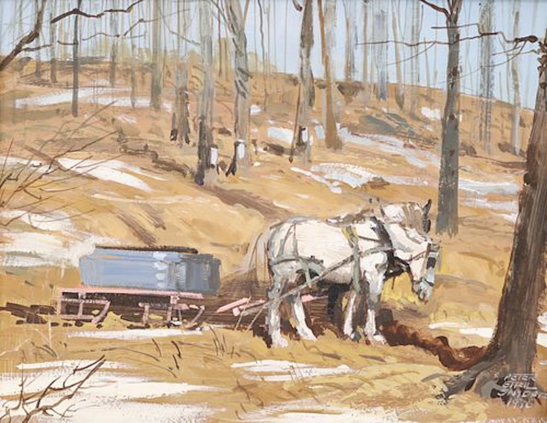 Peter Etril Snyder, Canadian (1944-2017)