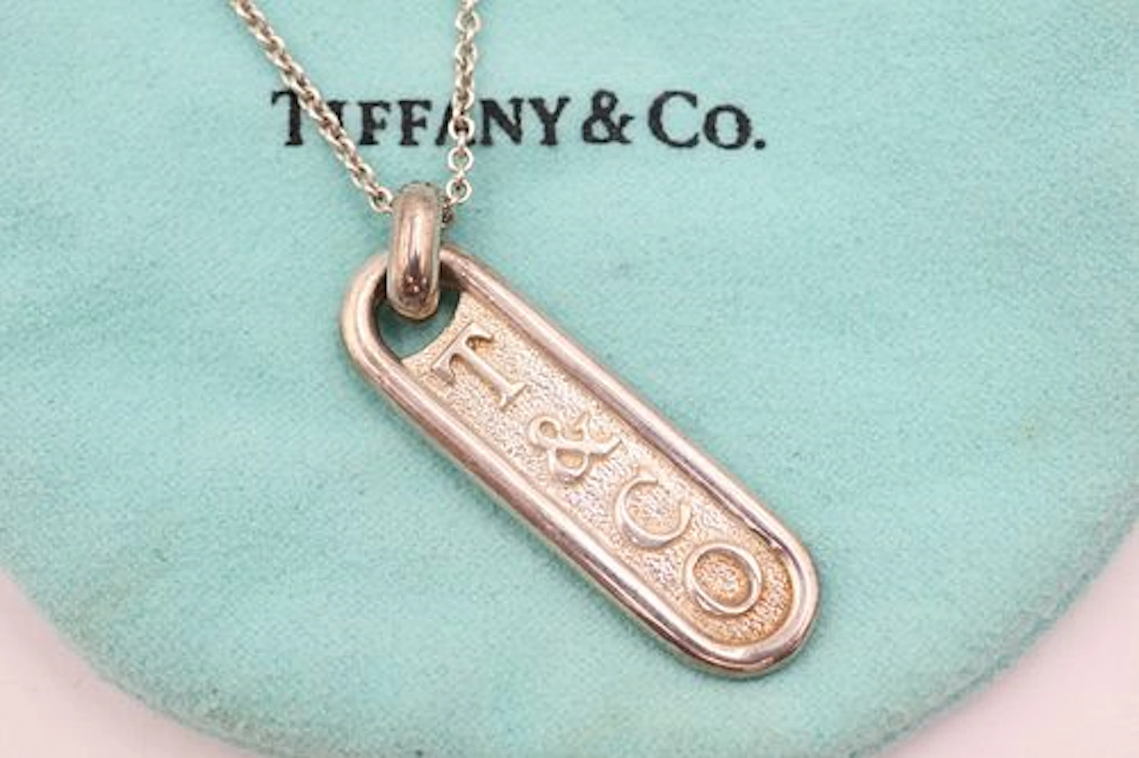 Tiffany & Co 925 Oval Logo Tag Pendant & Chain