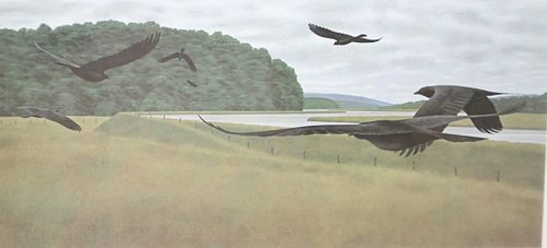 Alex Colville,Canadian (1920-2013)