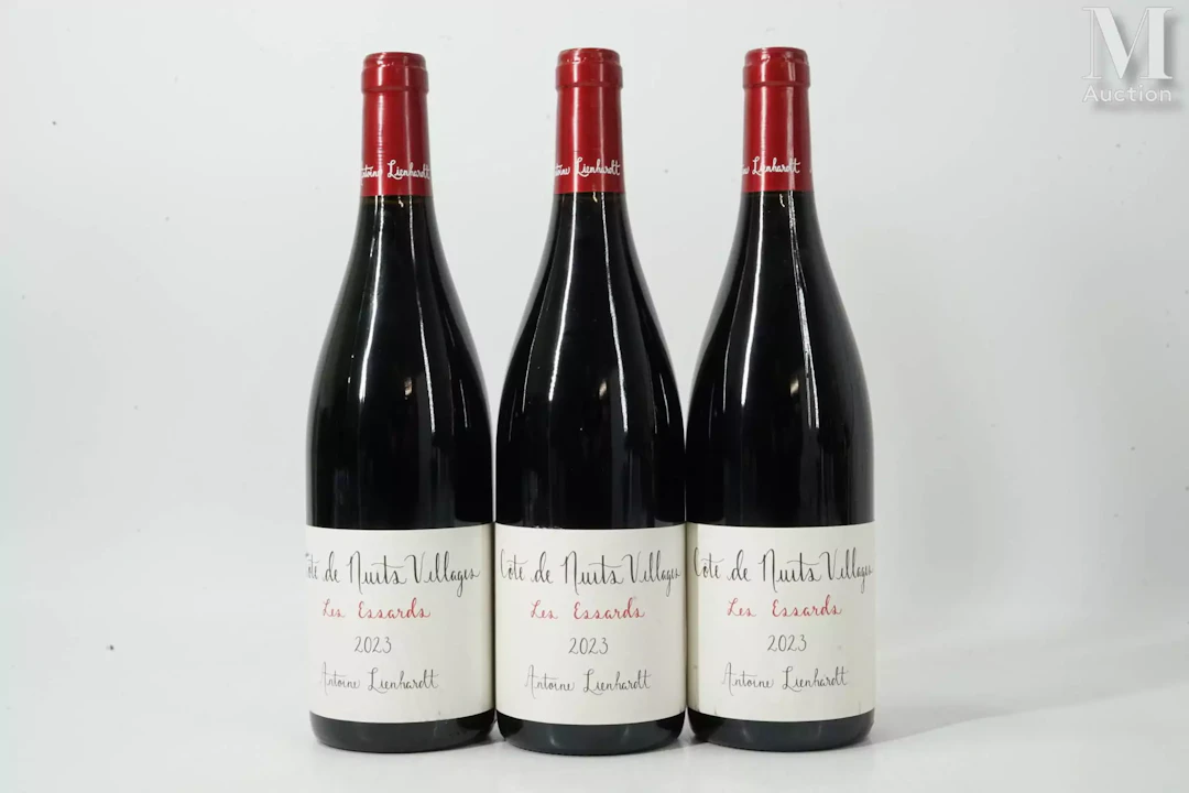 CÔTE-DE-NUITS-VILLAGES